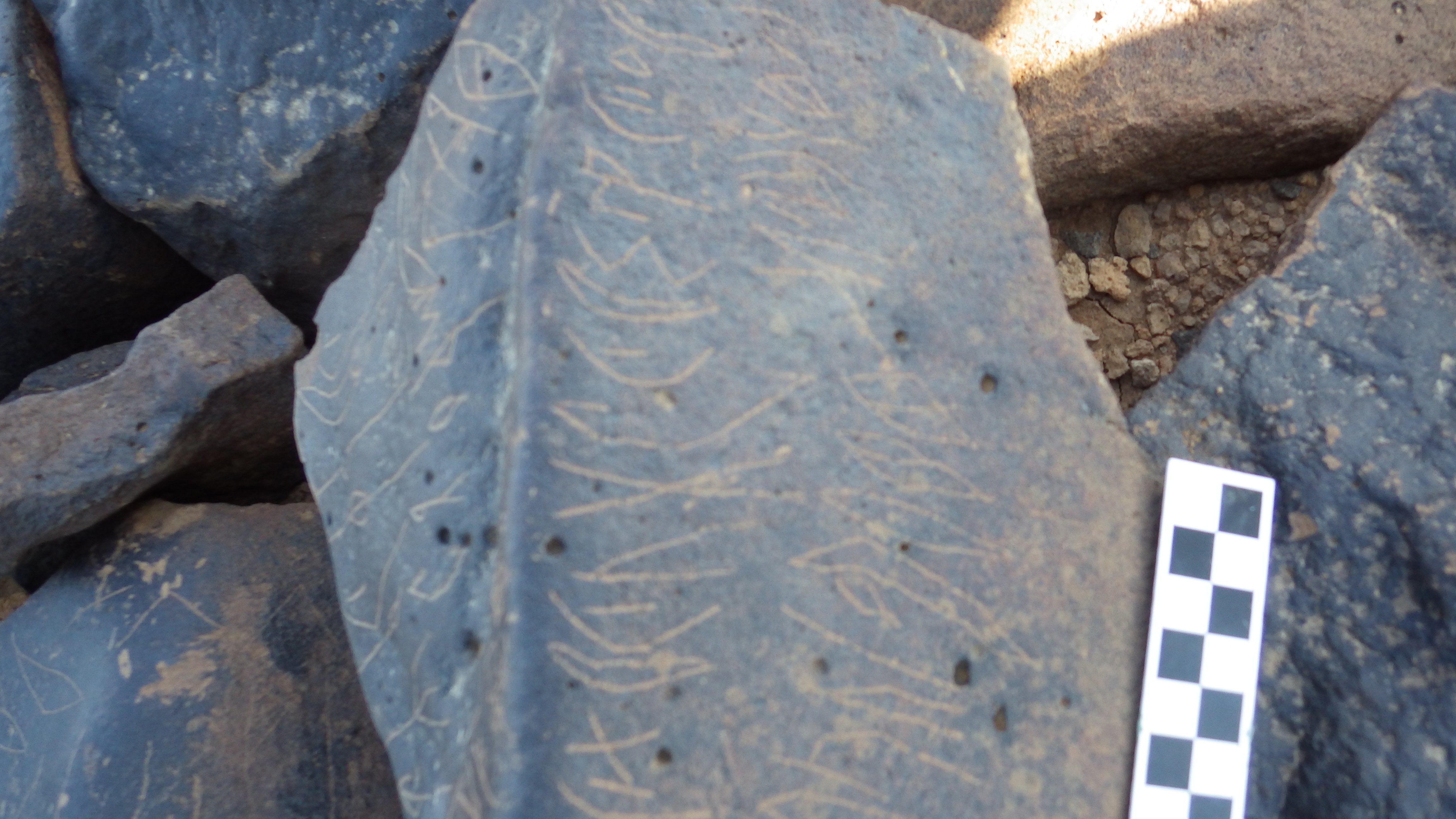 Image of siglum BES20 1248