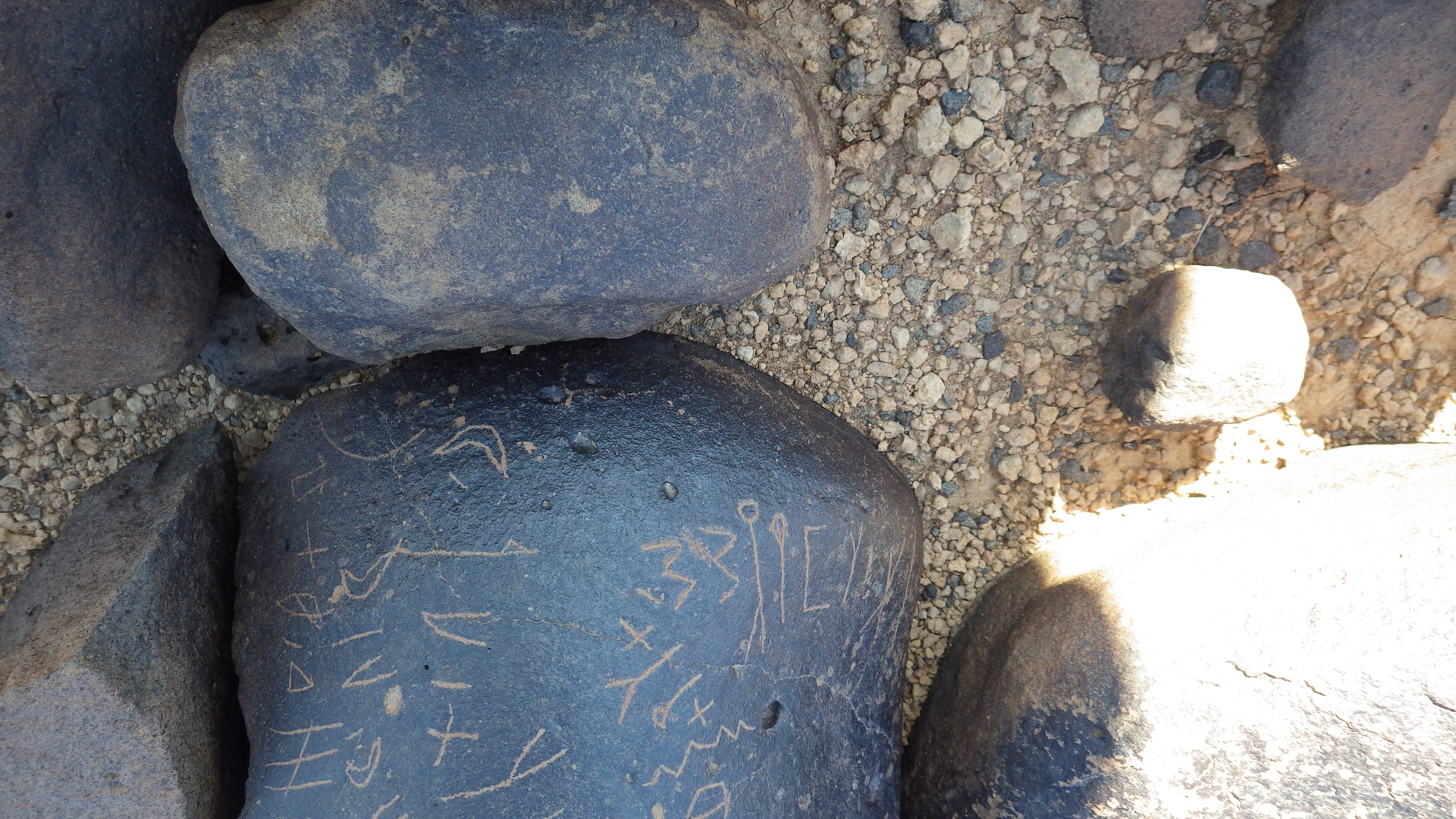 Image of siglum BES20 1248