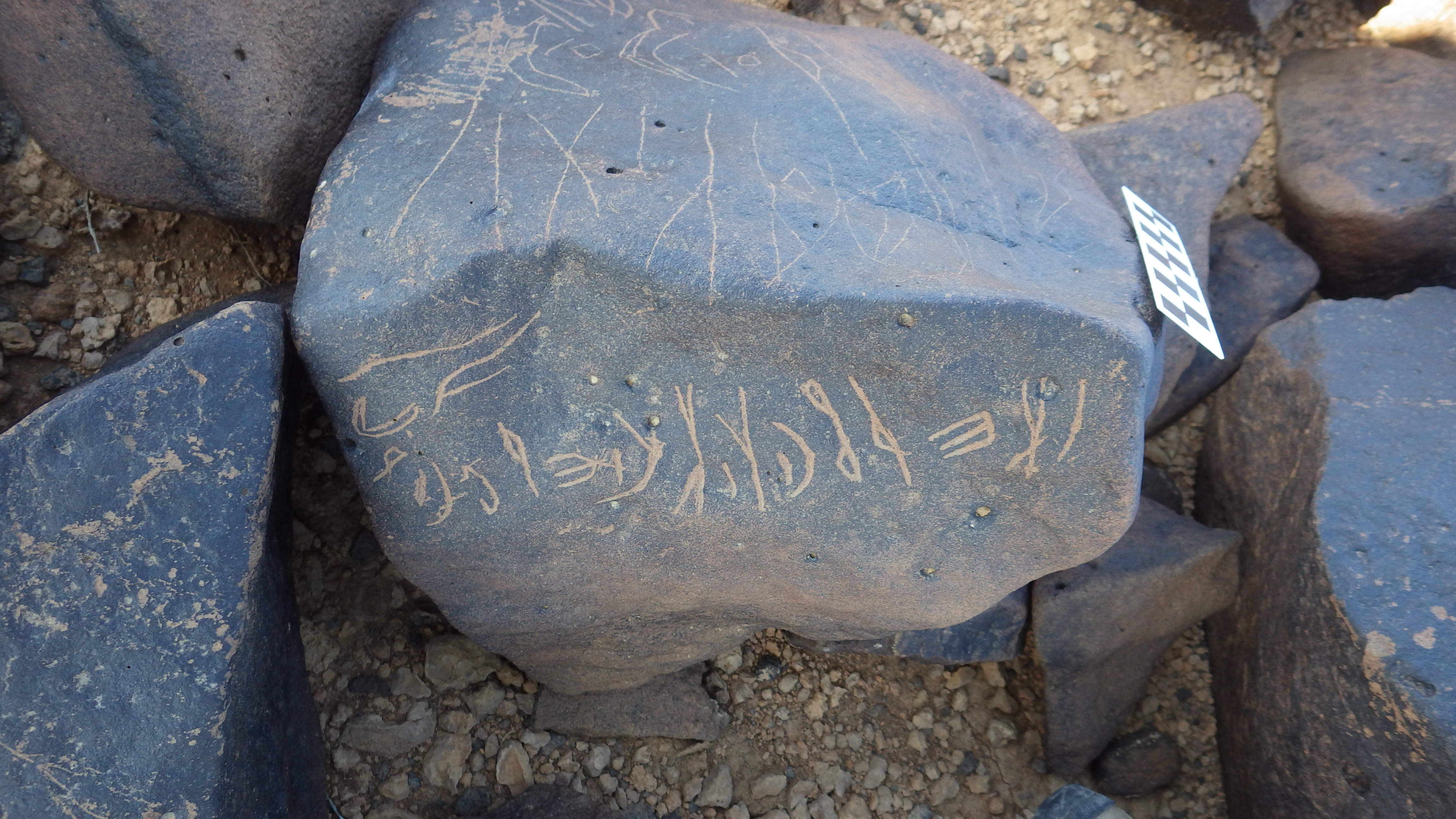 Image of siglum BES20 1248