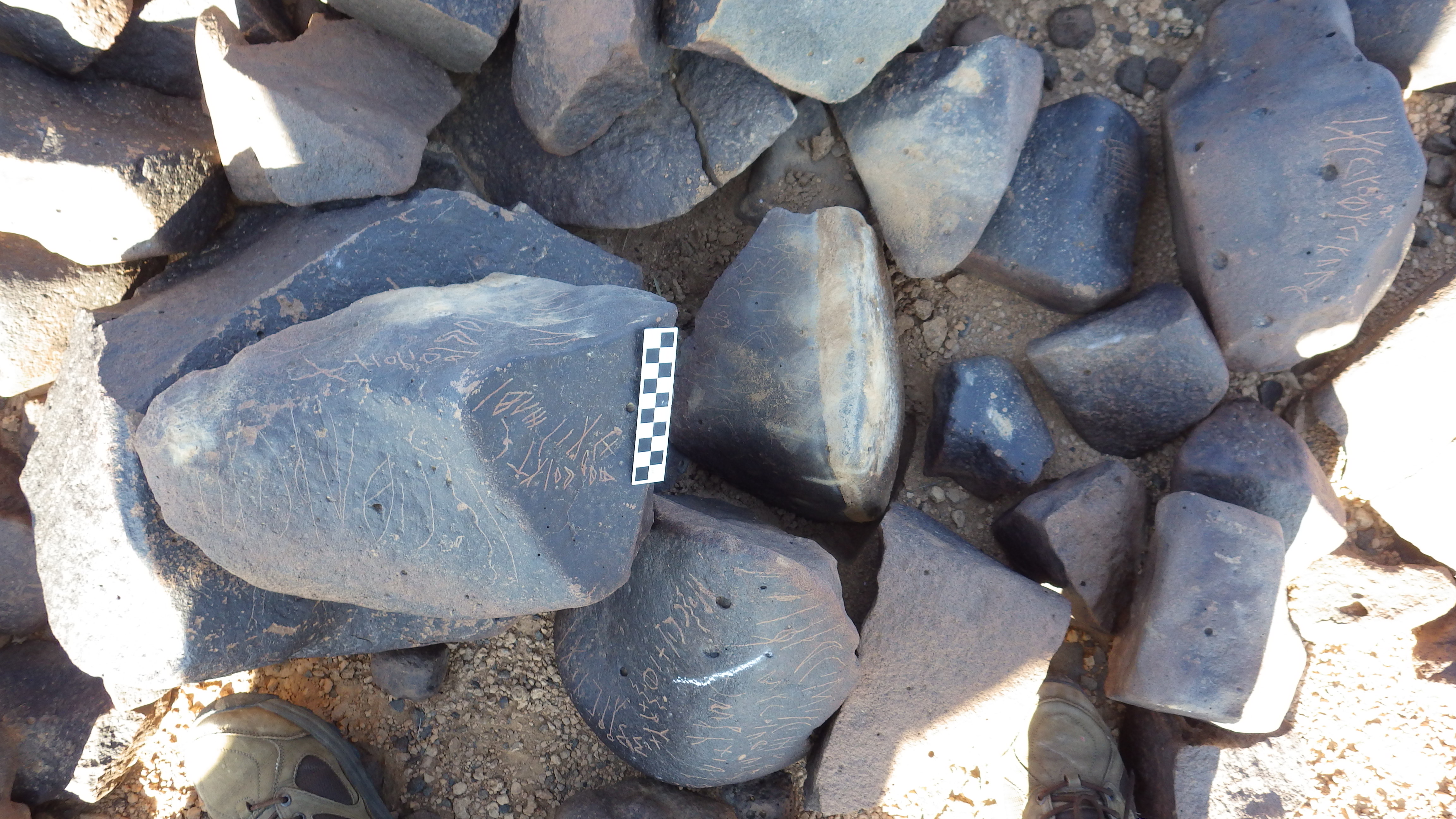 Image of siglum BES20 1248