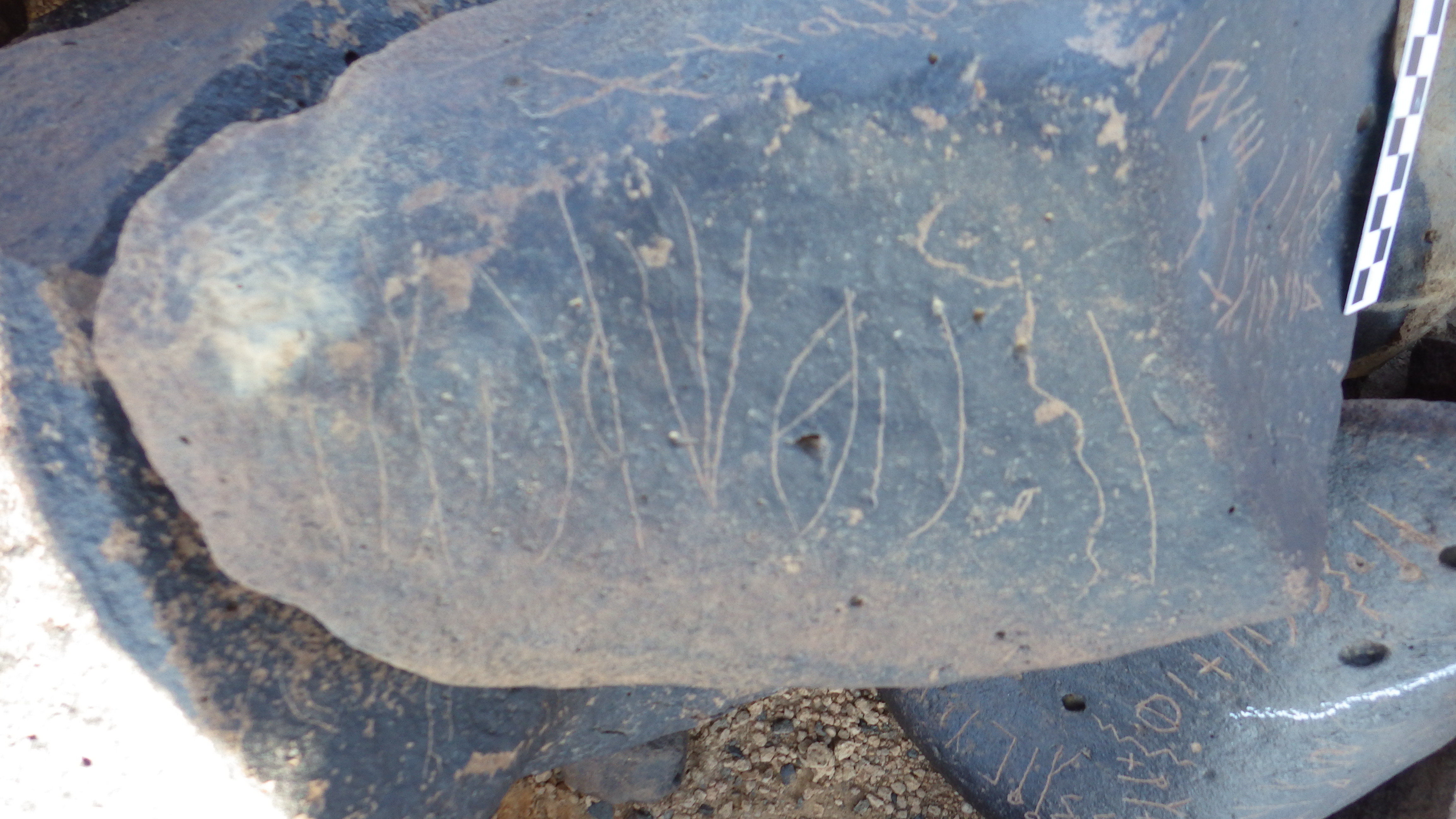 Image of siglum BES20 1248