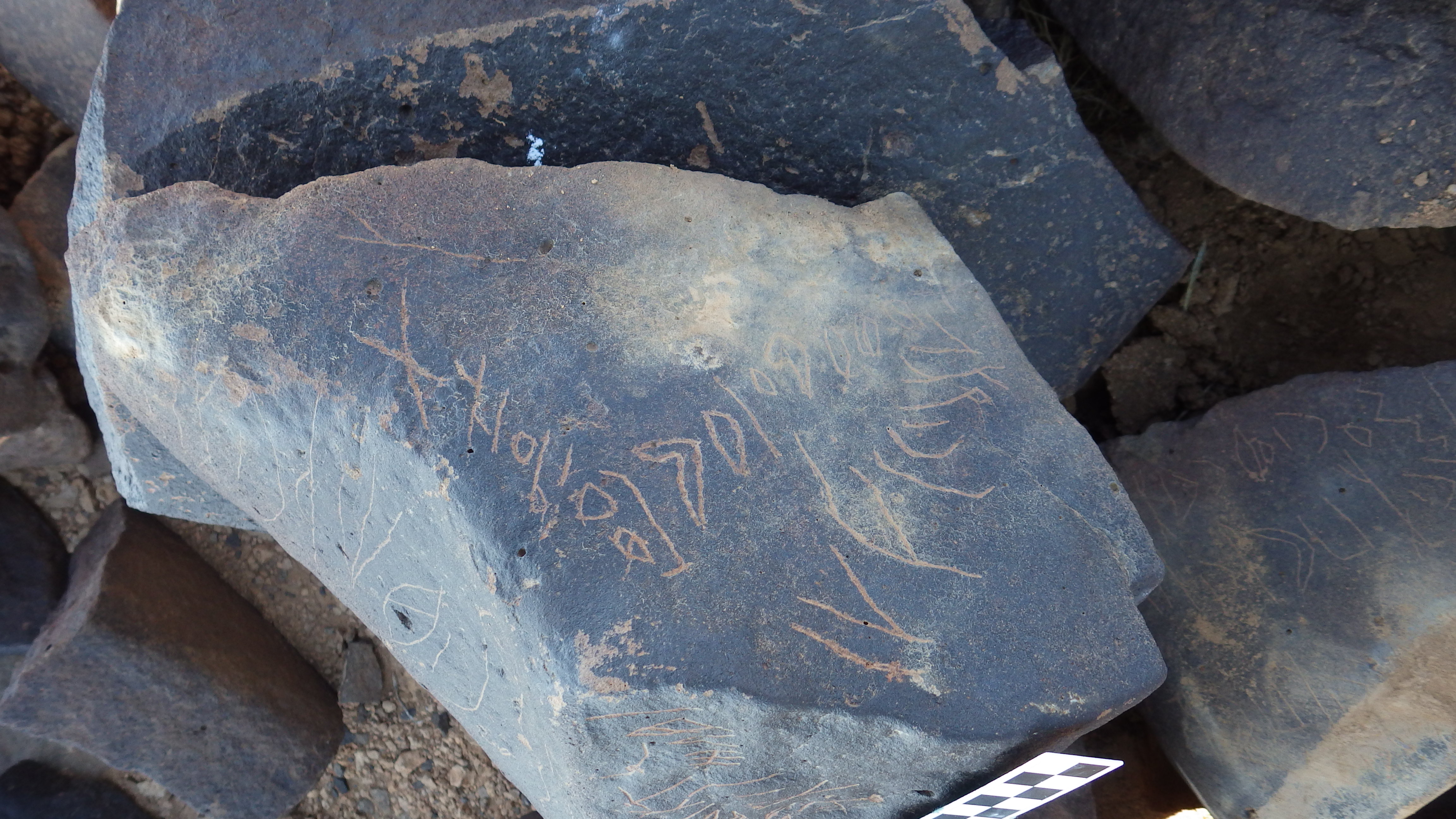 Image of siglum BES20 1248