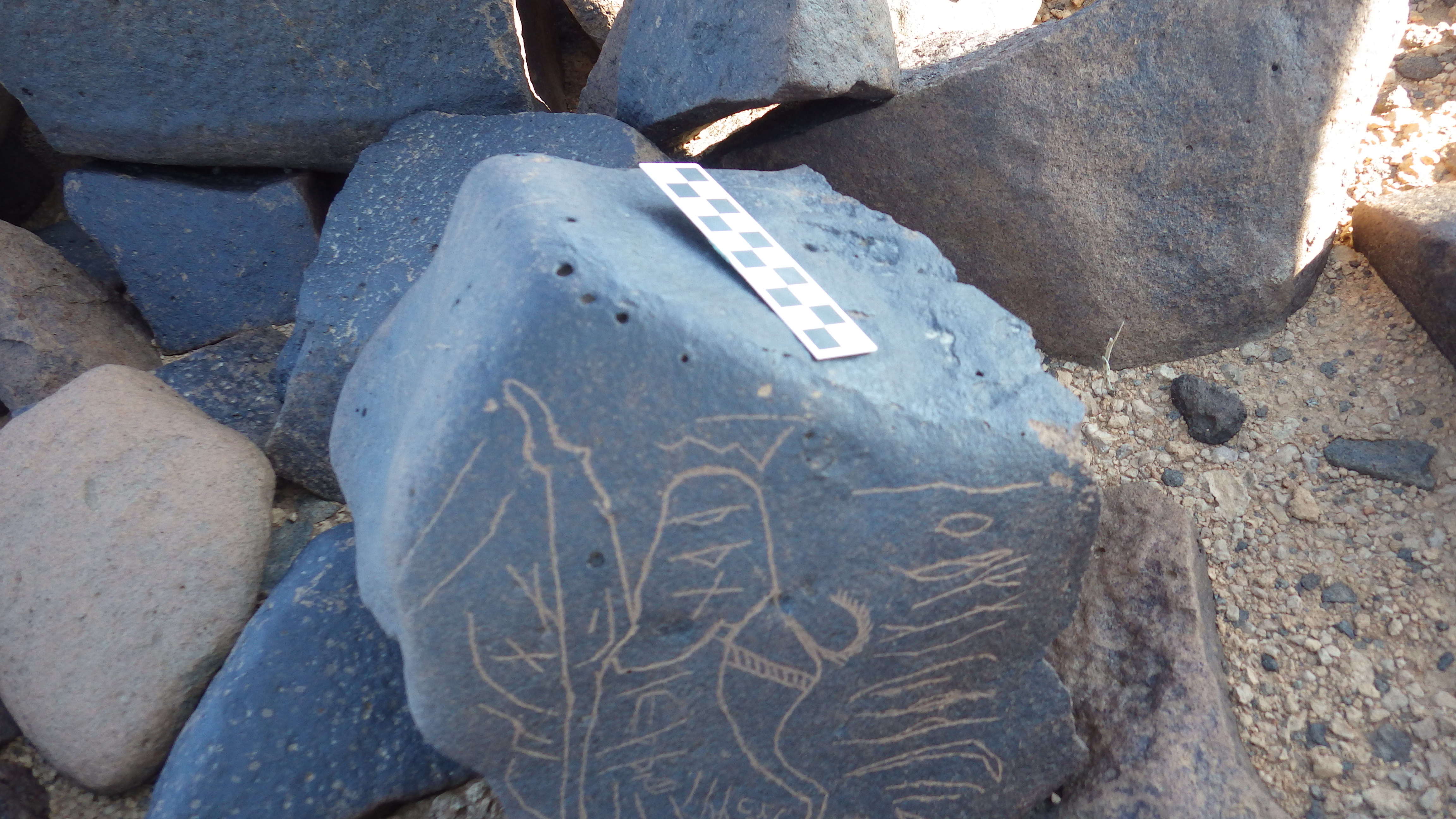Image of siglum BES20 1248