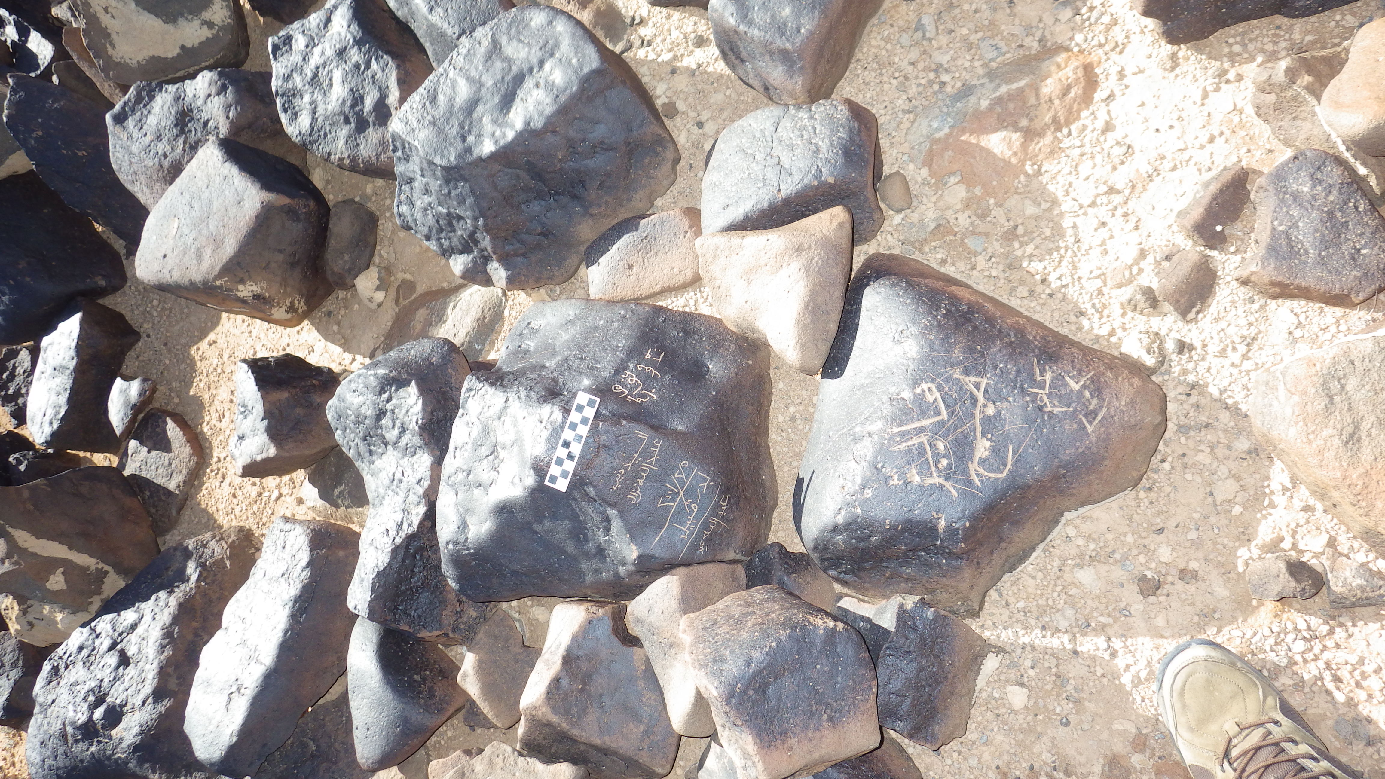 Image of siglum BES20 1248