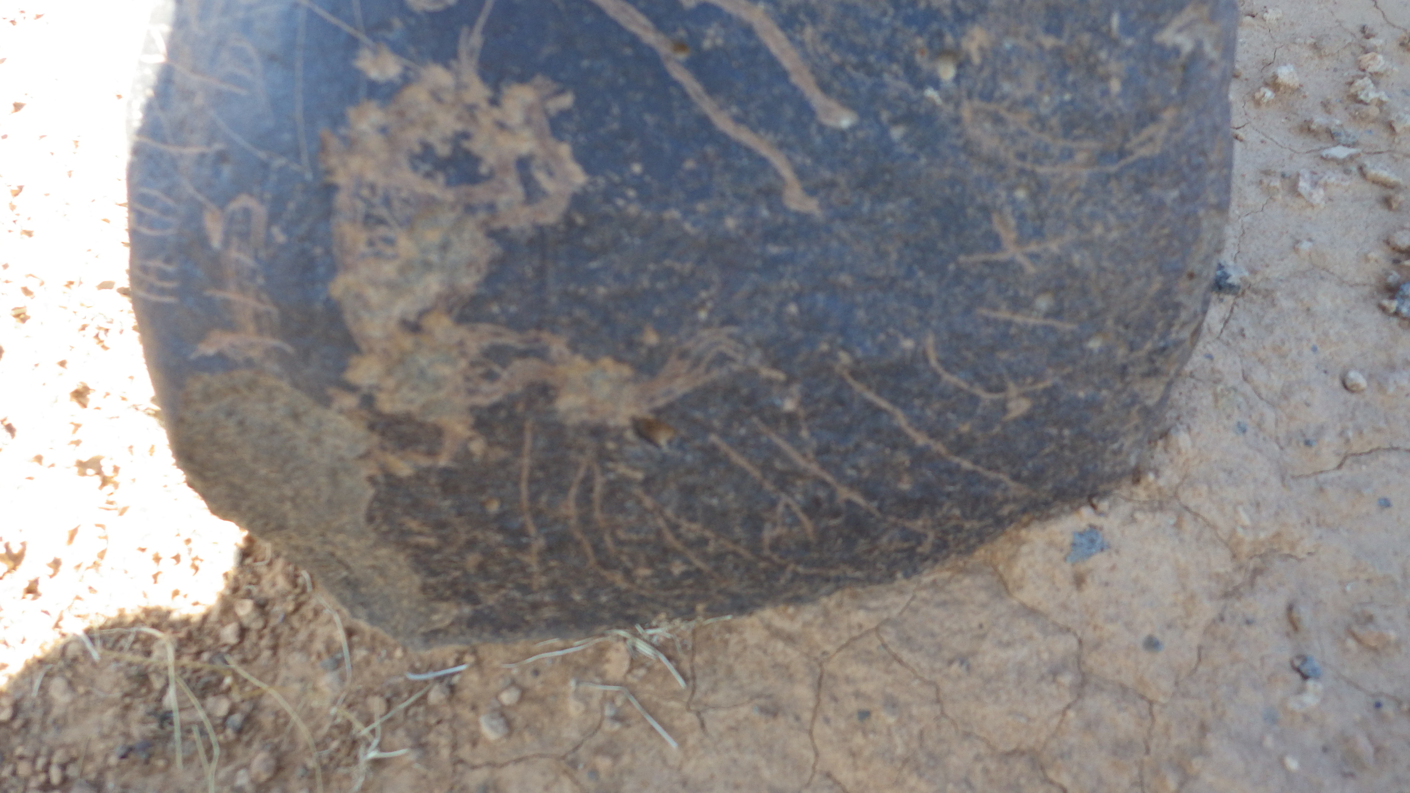 Image of siglum BES20 1248