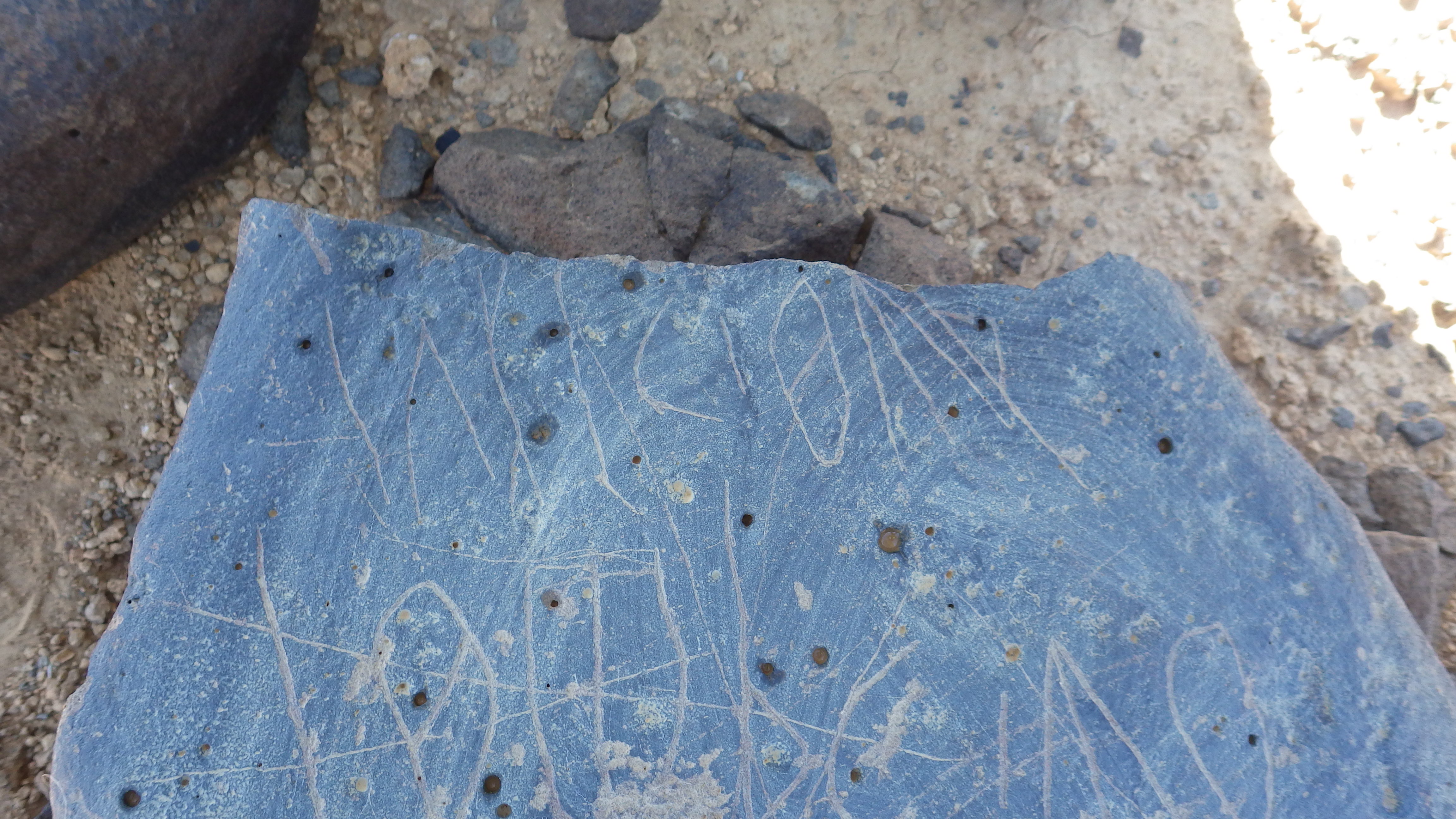 Image of siglum BES20 1248
