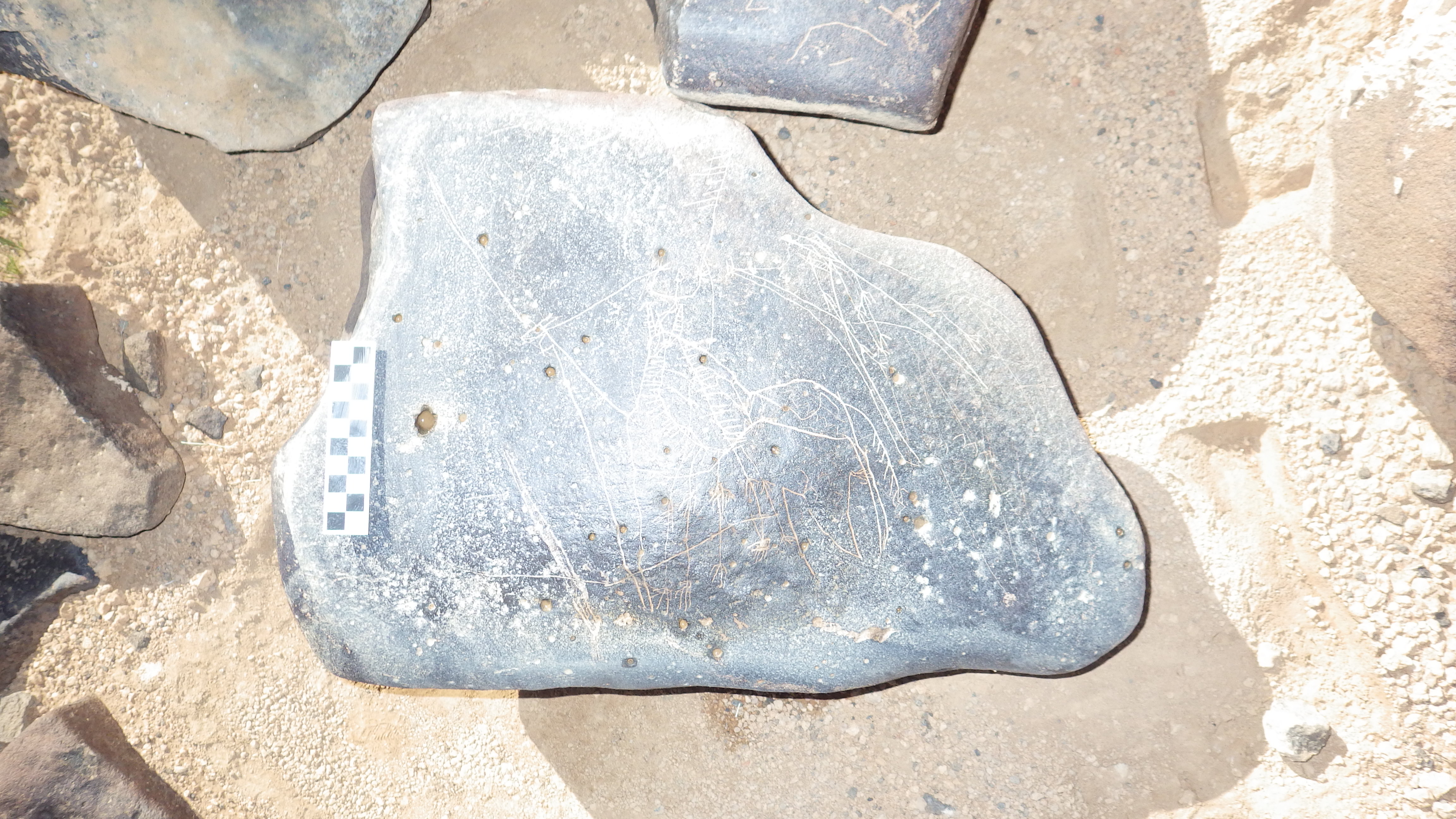 Image of siglum BES20 1248