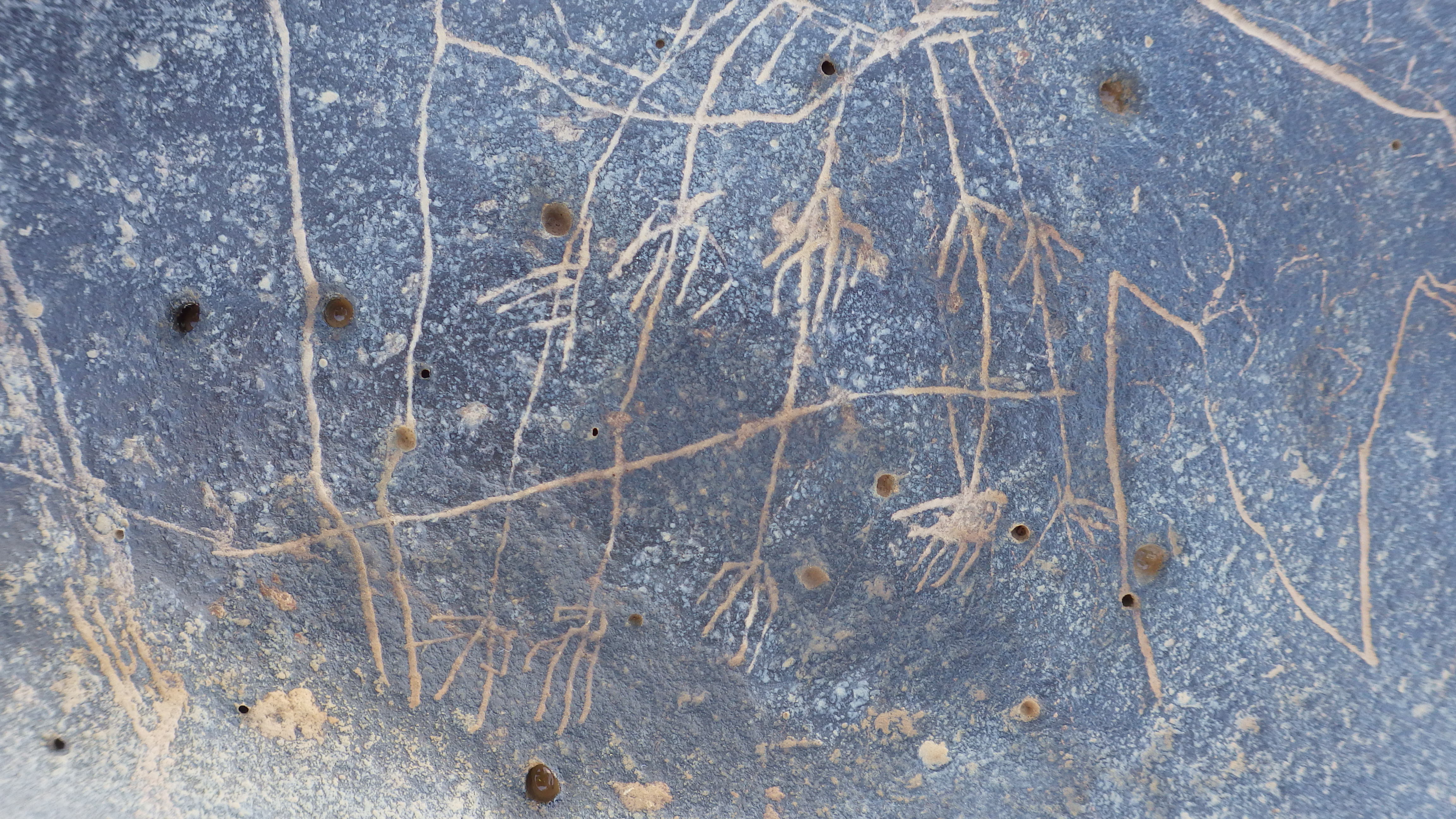 Image of siglum BES20 1248