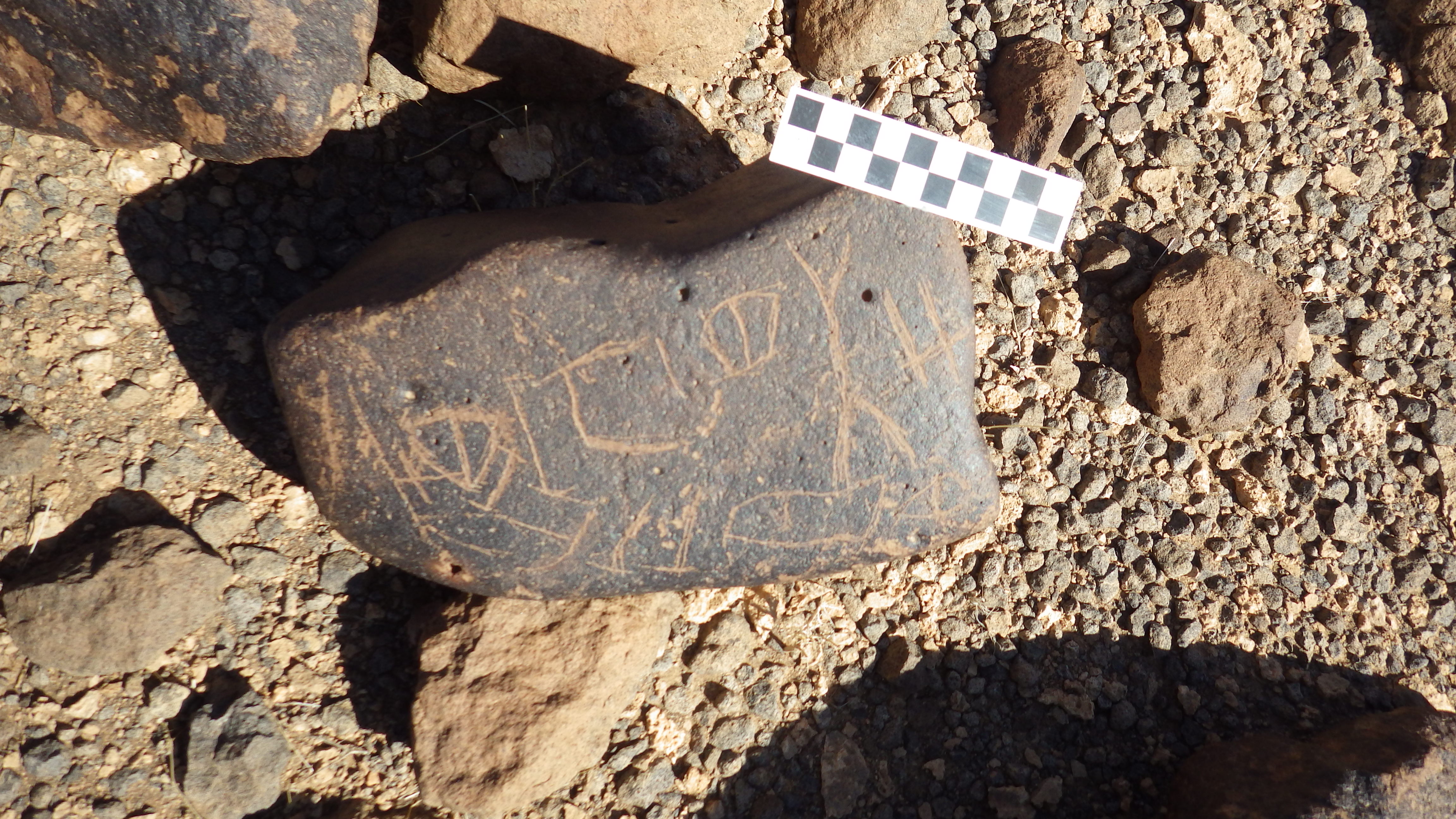 Image of siglum BES20 1248