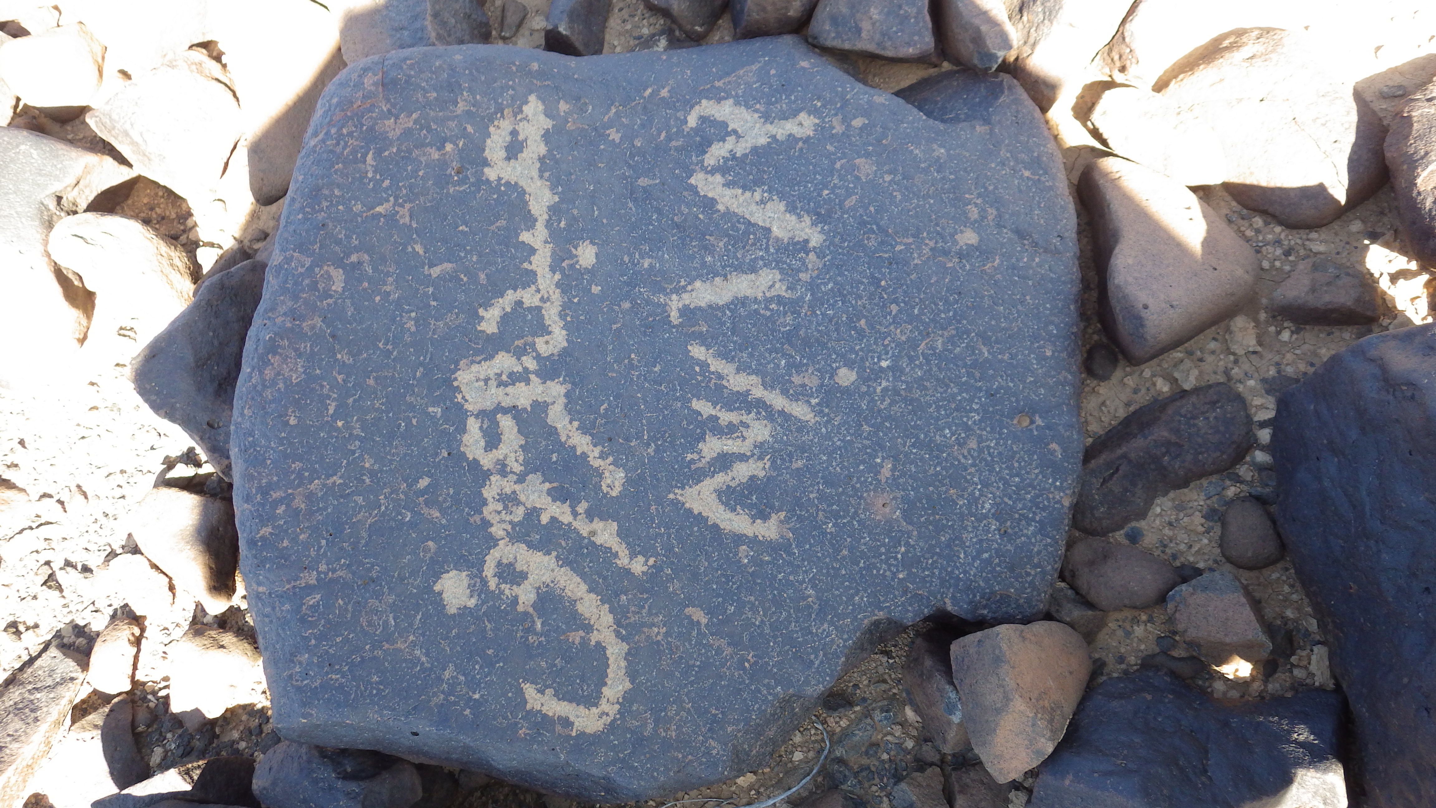 Image of siglum BES20 1248