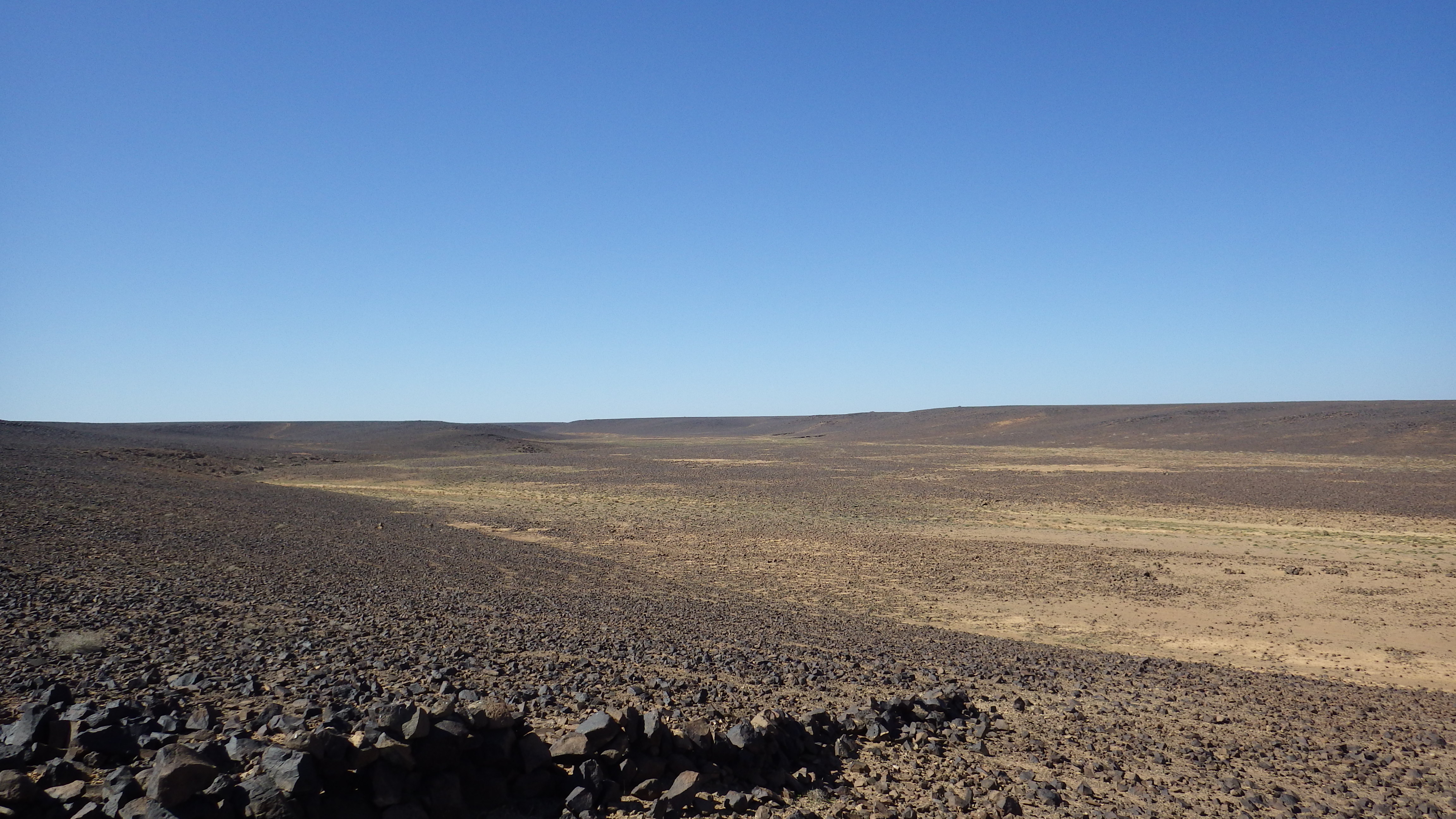 Image of siglum BES20 1248