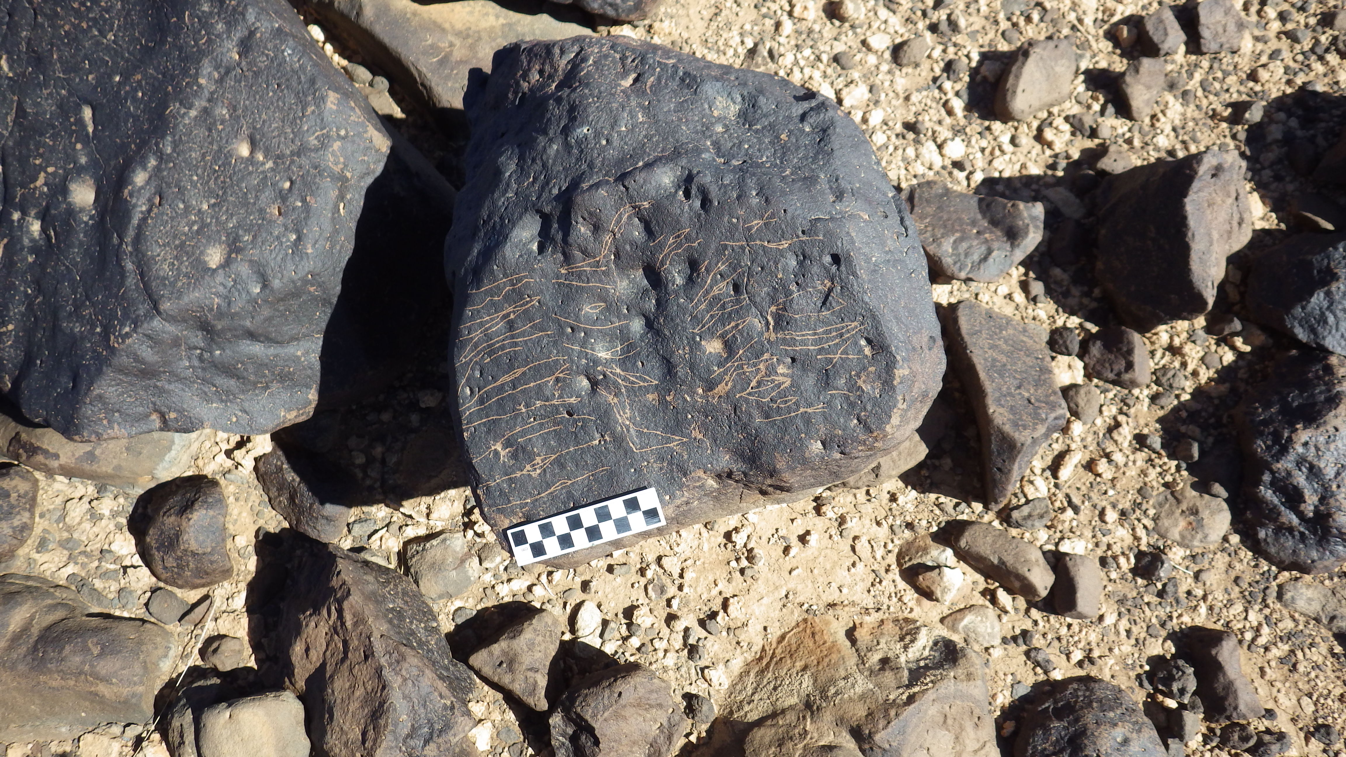 Image of siglum BES20 1248
