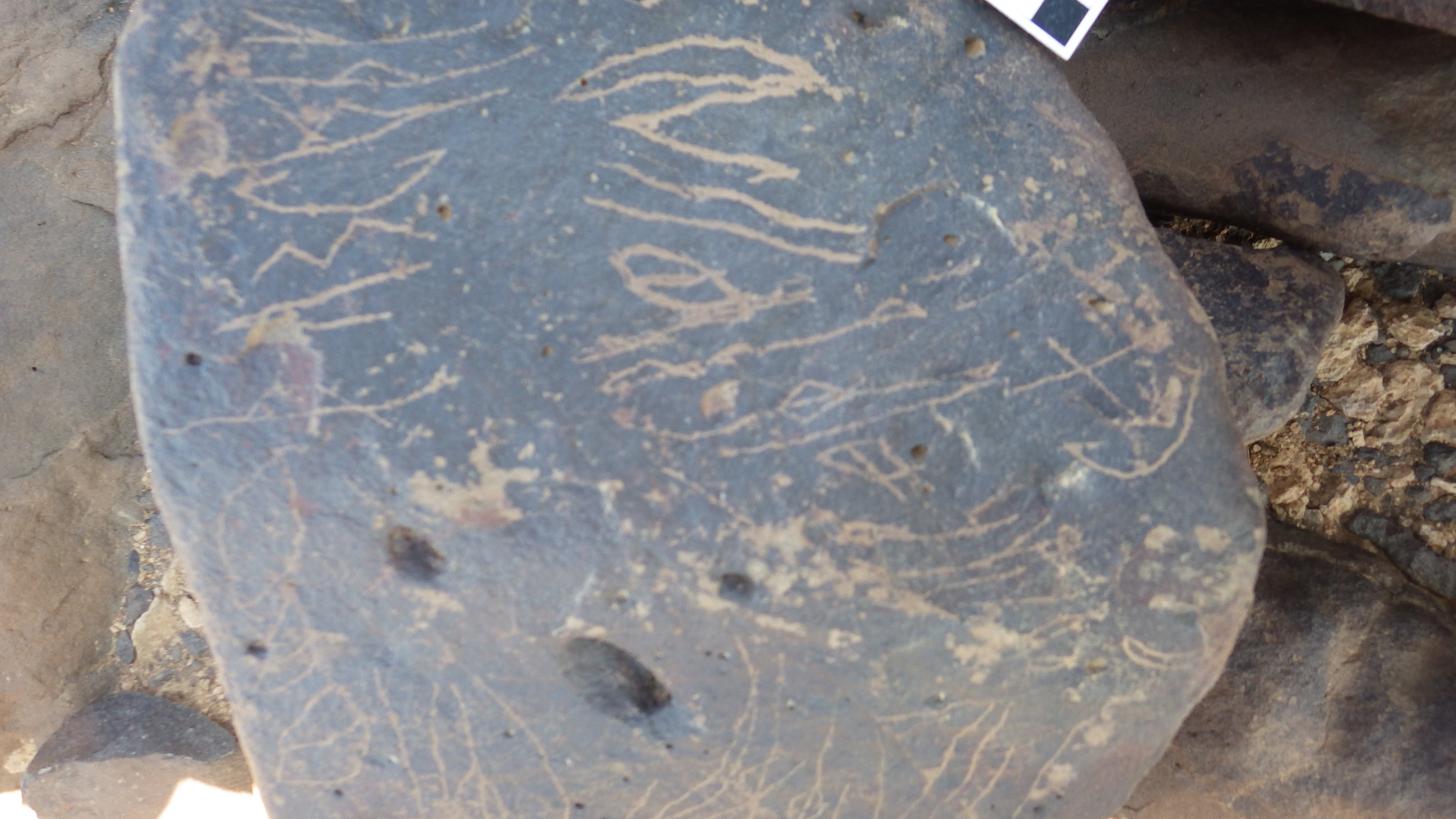 Image of siglum BES20 1248