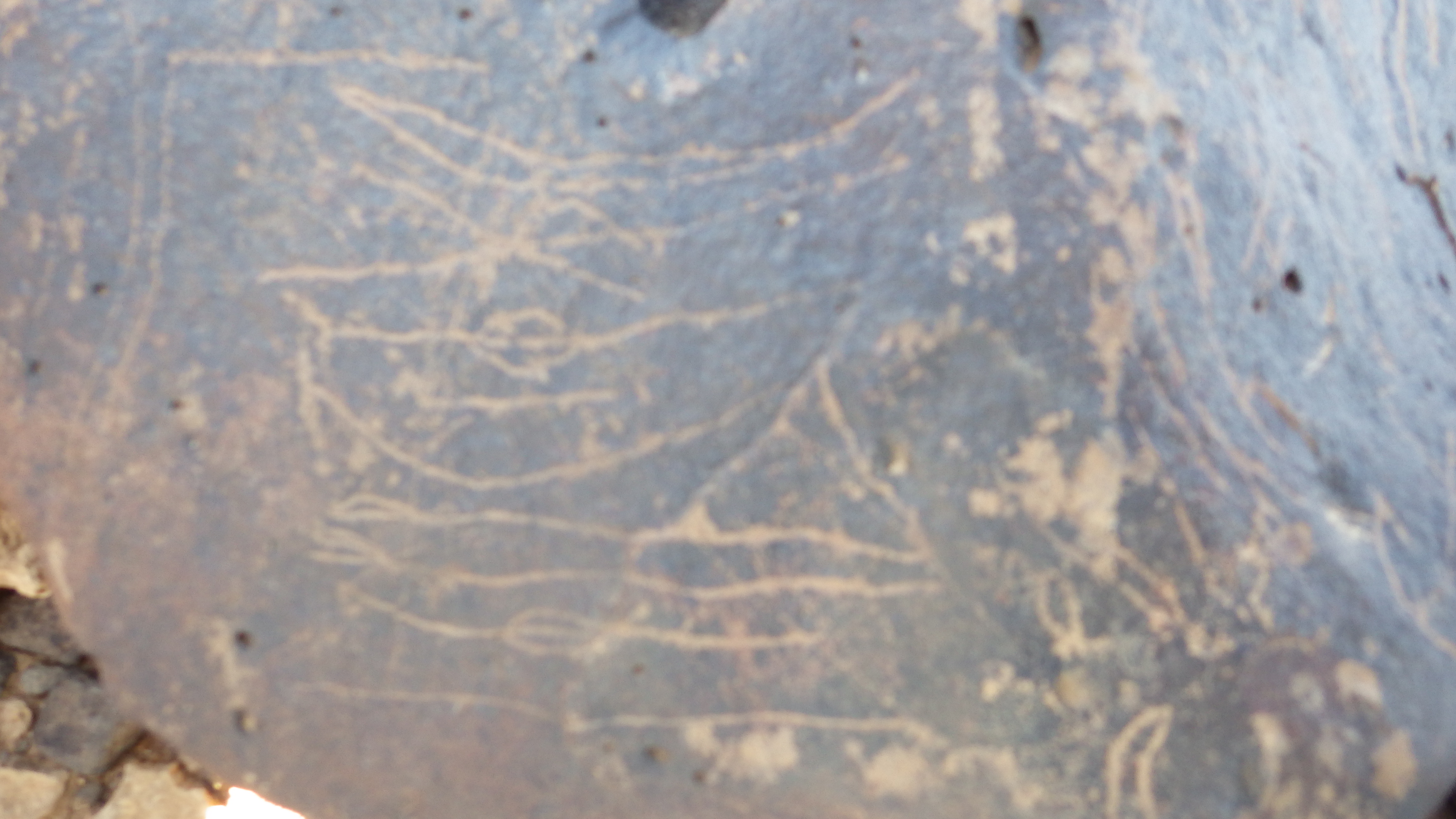 Image of siglum BES20 1248