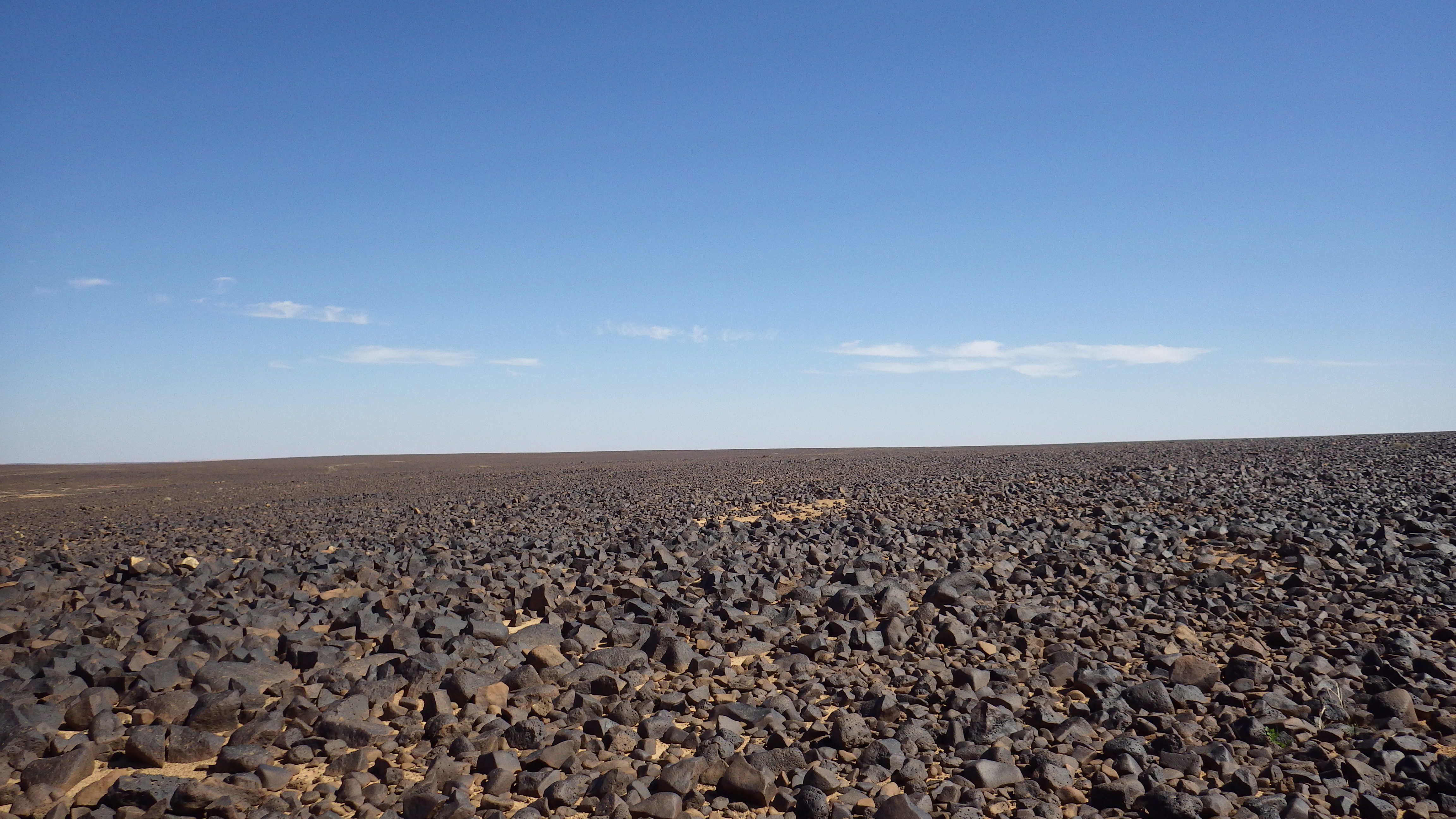 Image of siglum BES20 1248