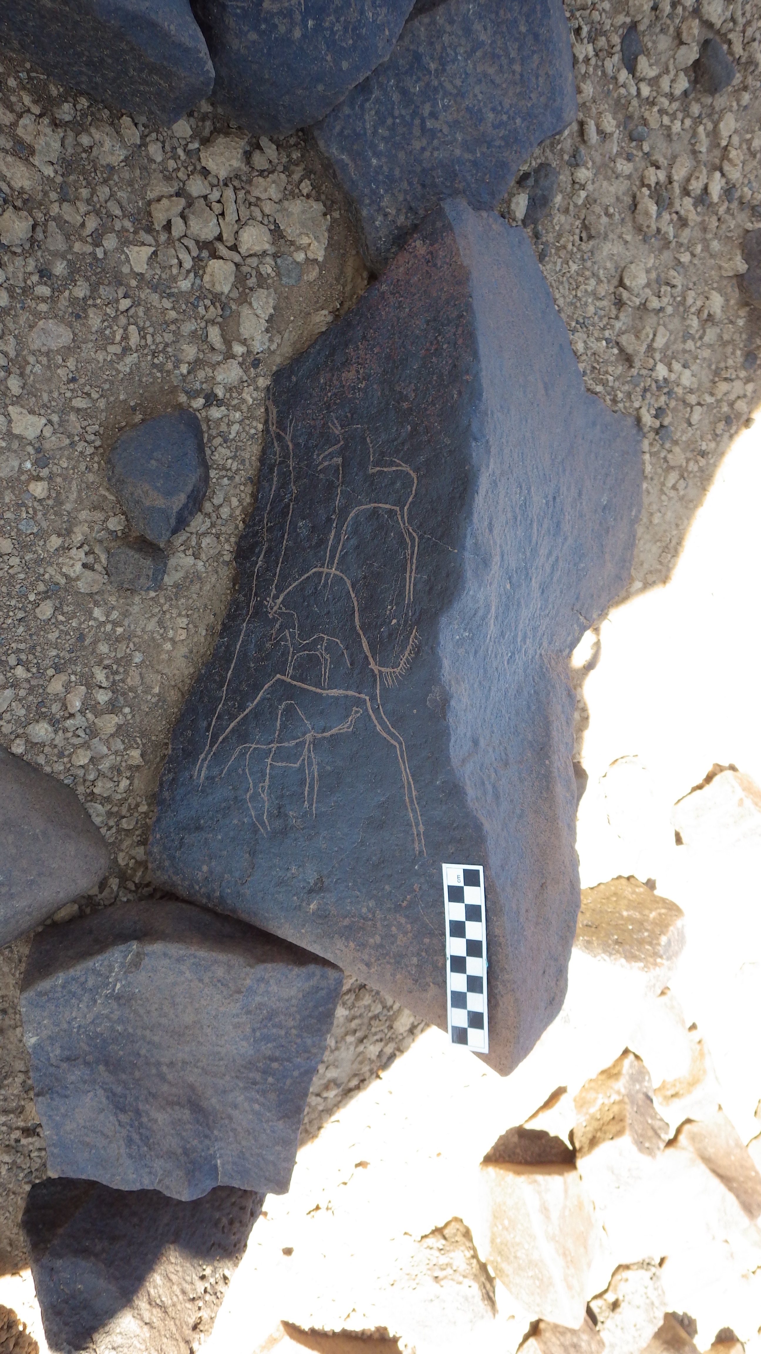 Image of siglum BES20 1248