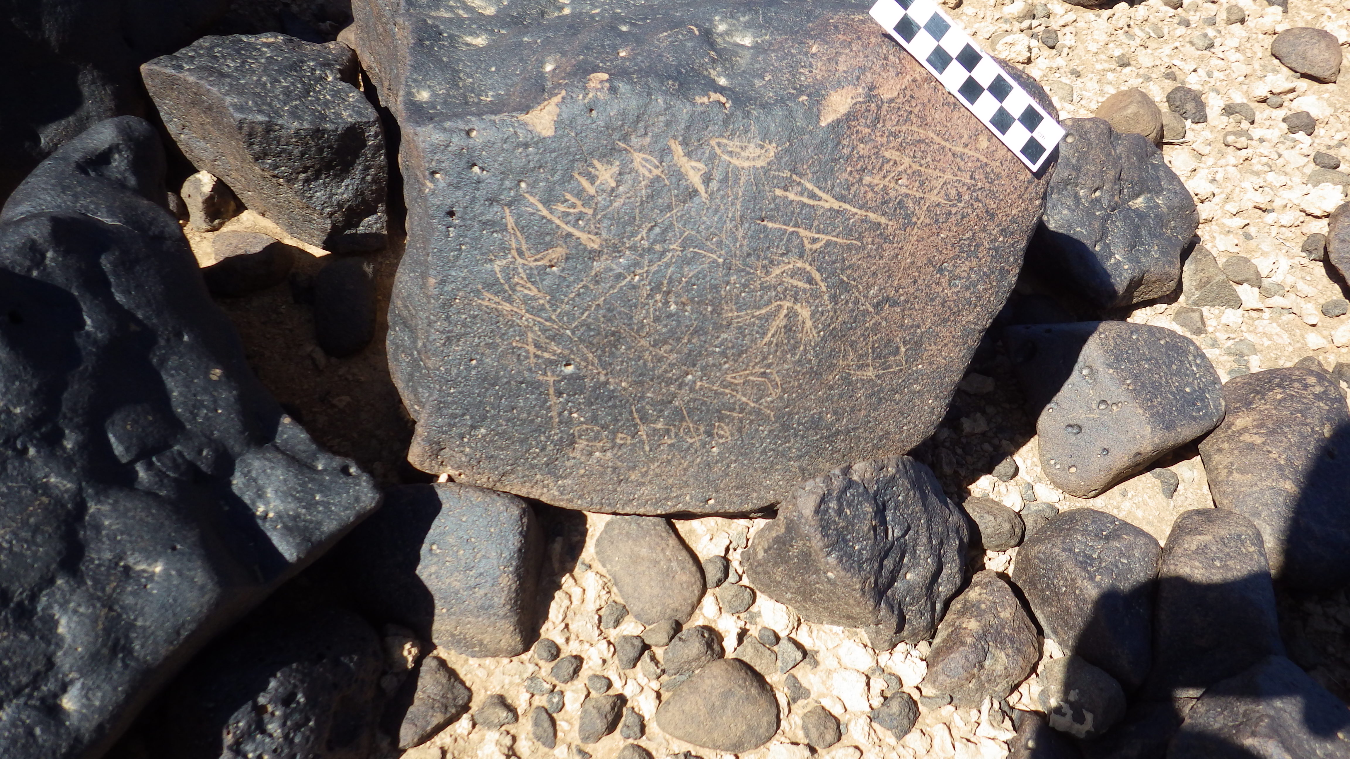 Image of siglum BES20 1248