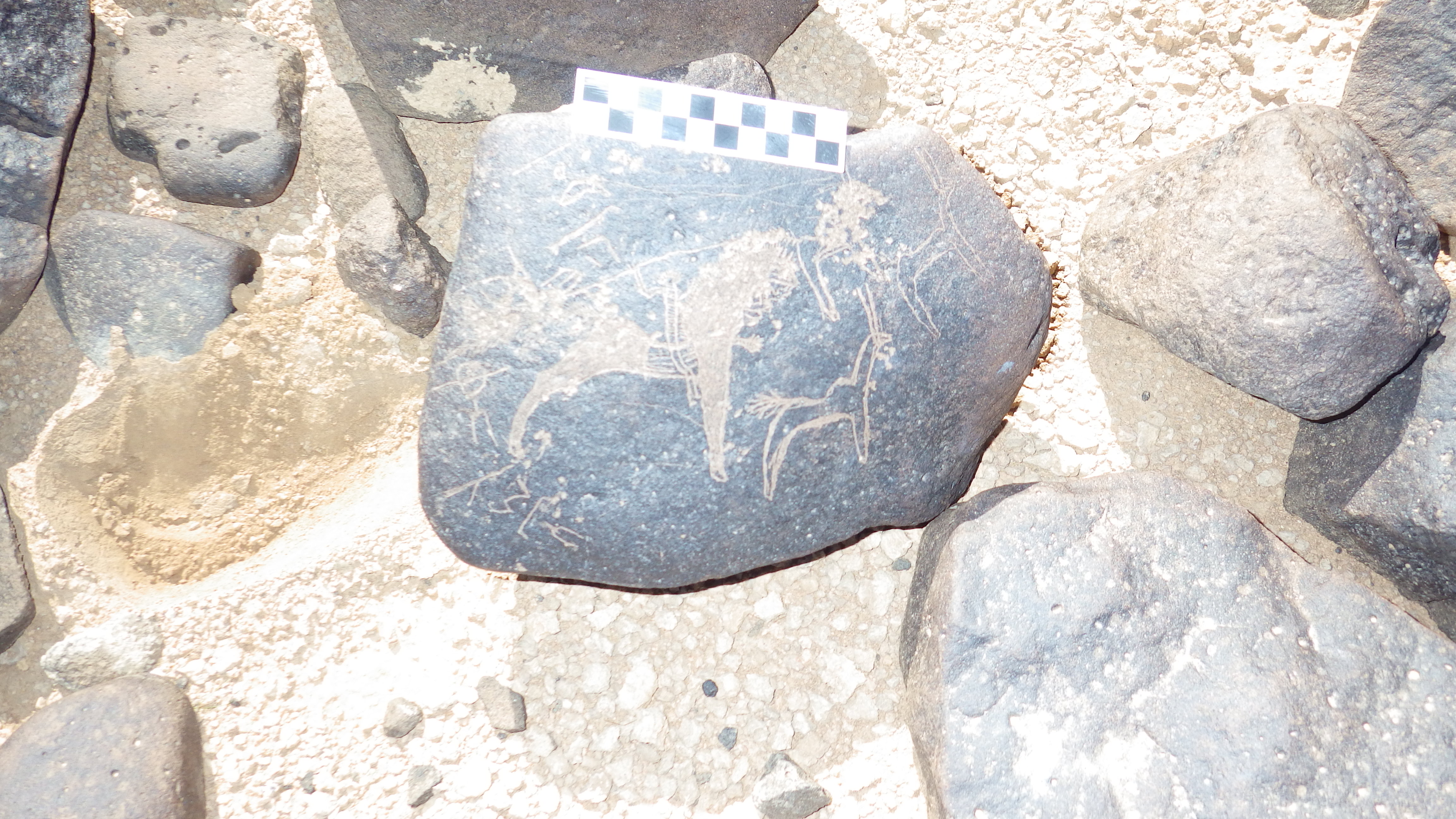 Image of siglum BES20 1248
