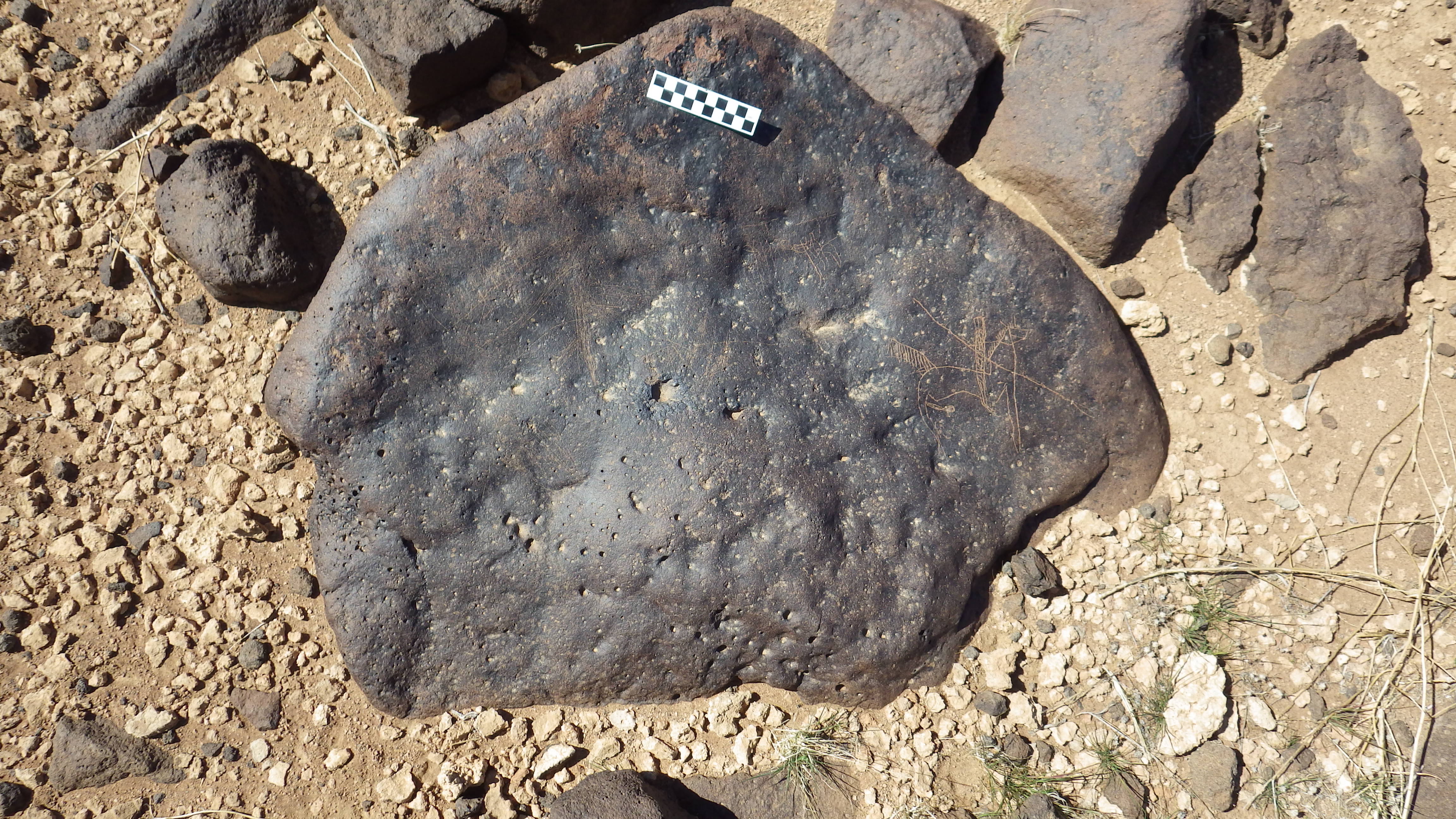 Image of siglum BES20 1248