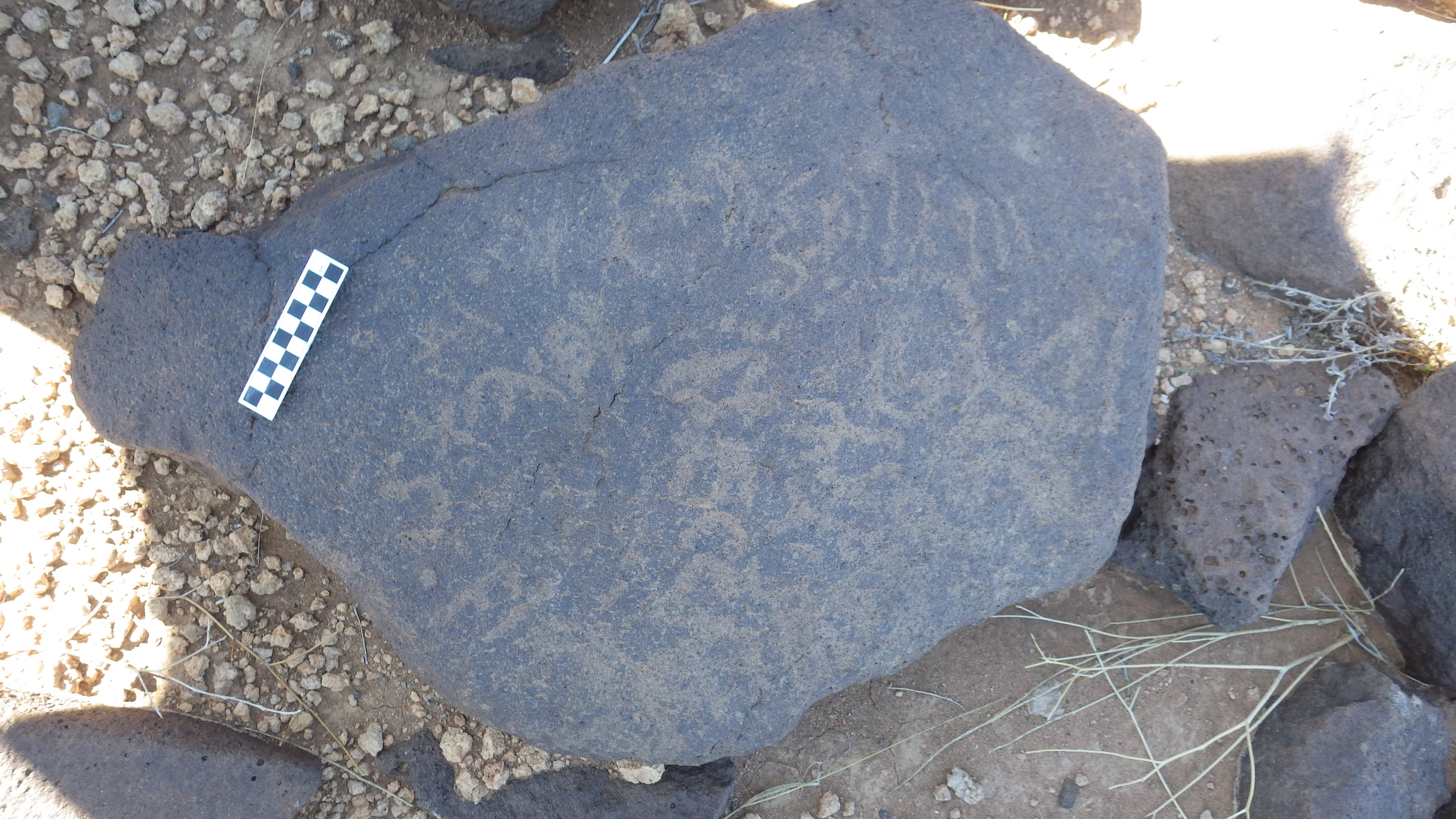 Image of siglum BES20 1248