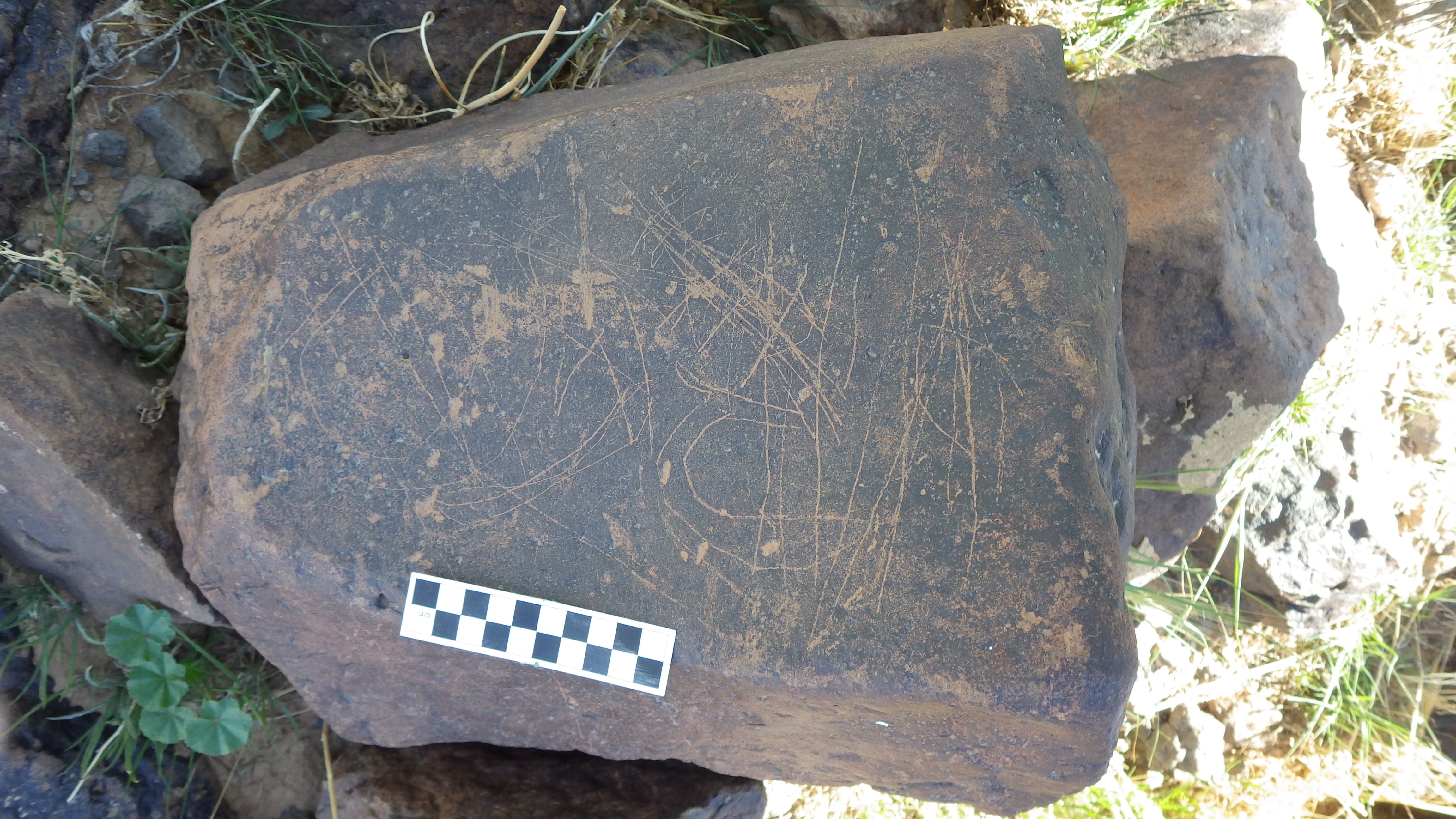 Image of siglum BES20 1248
