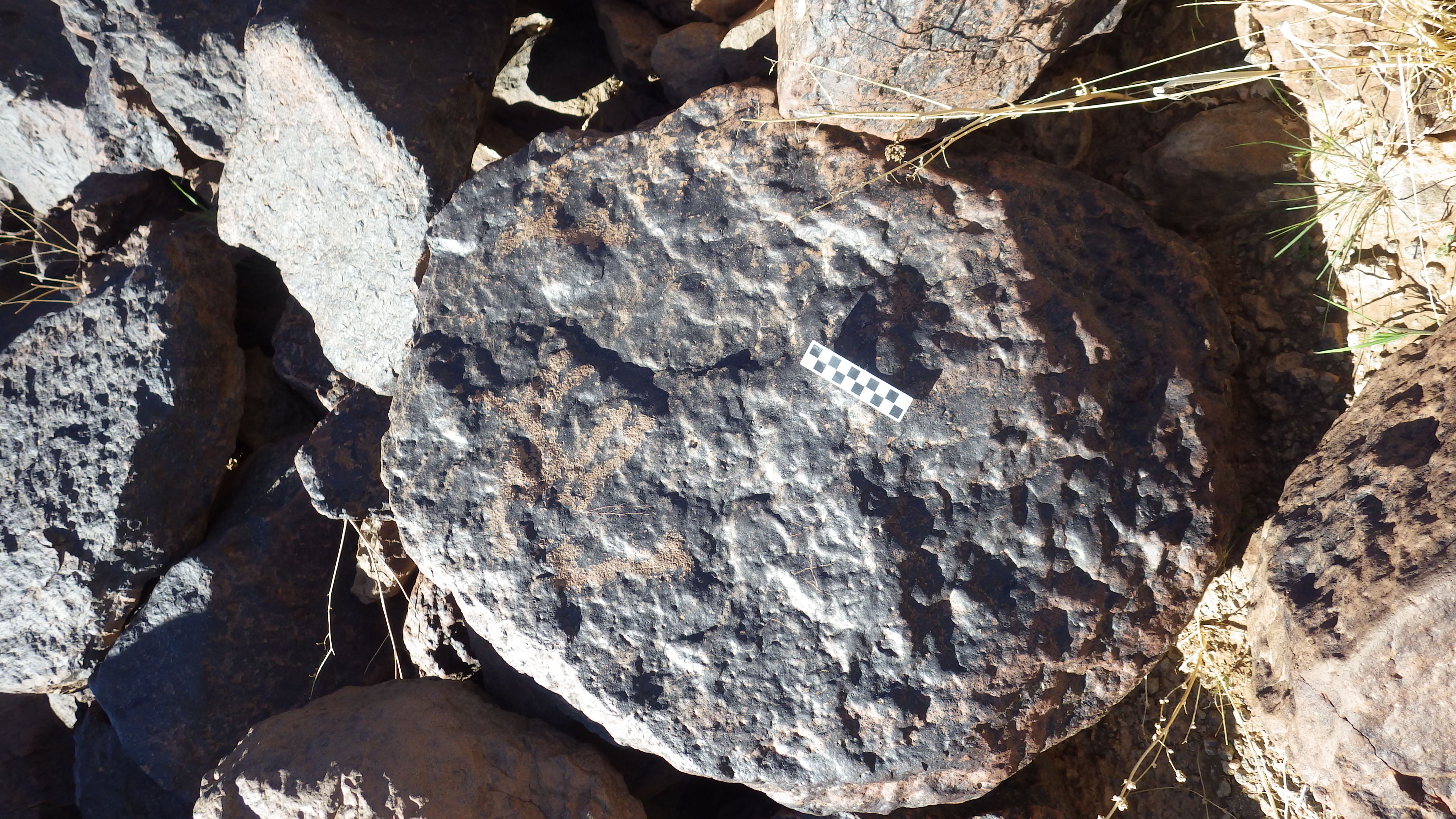 Image of siglum BES20 1248