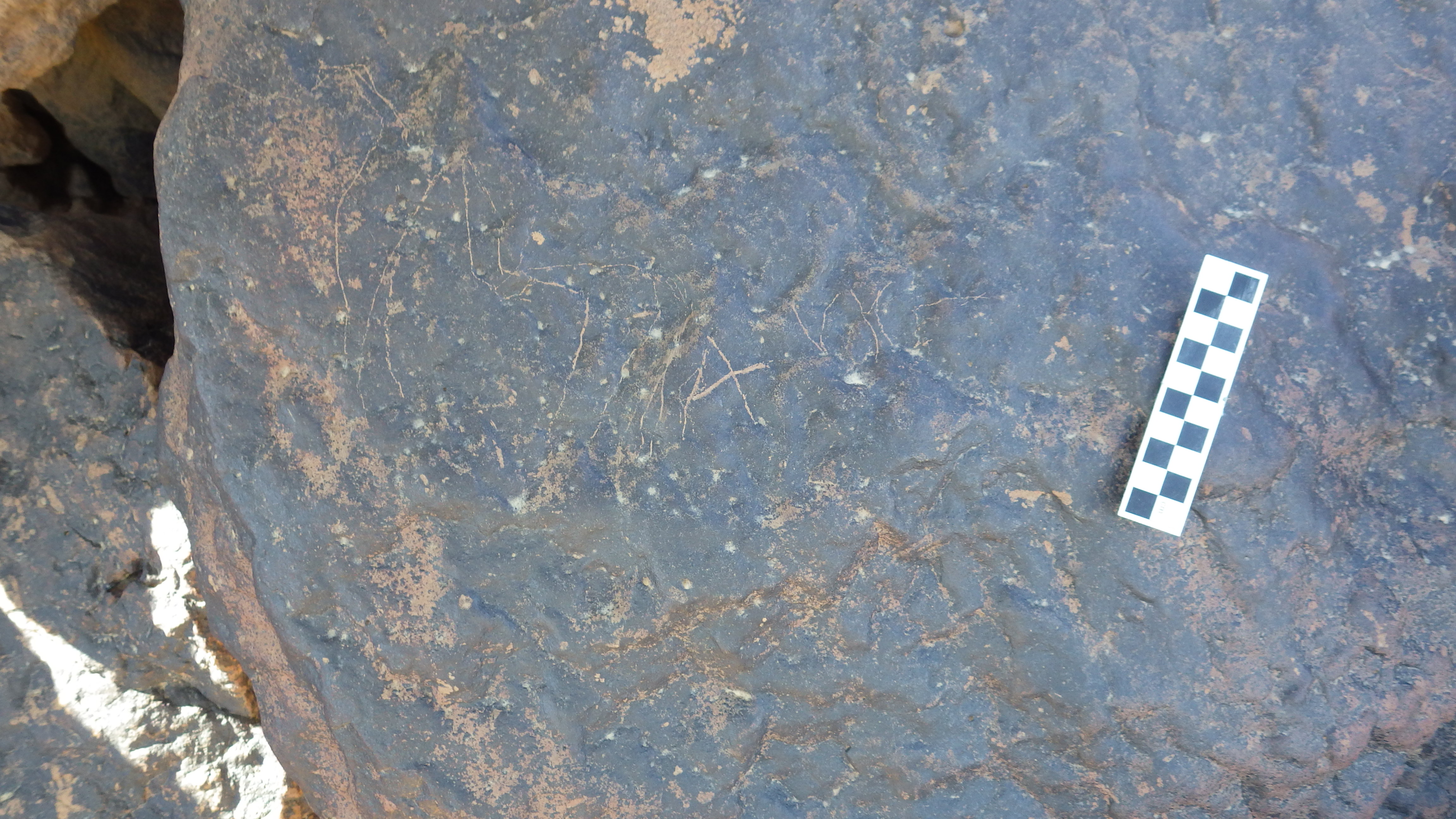 Image of siglum BES20 1248