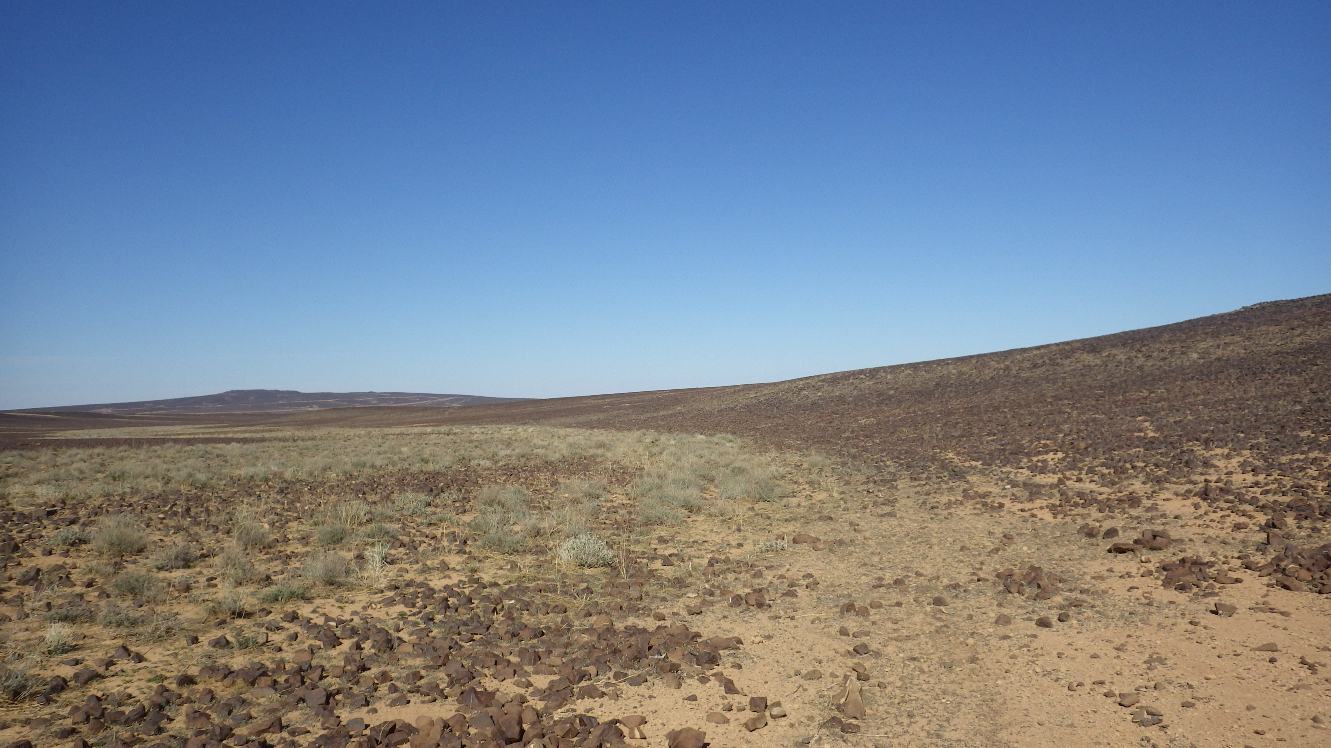 Image of siglum BES20 1248