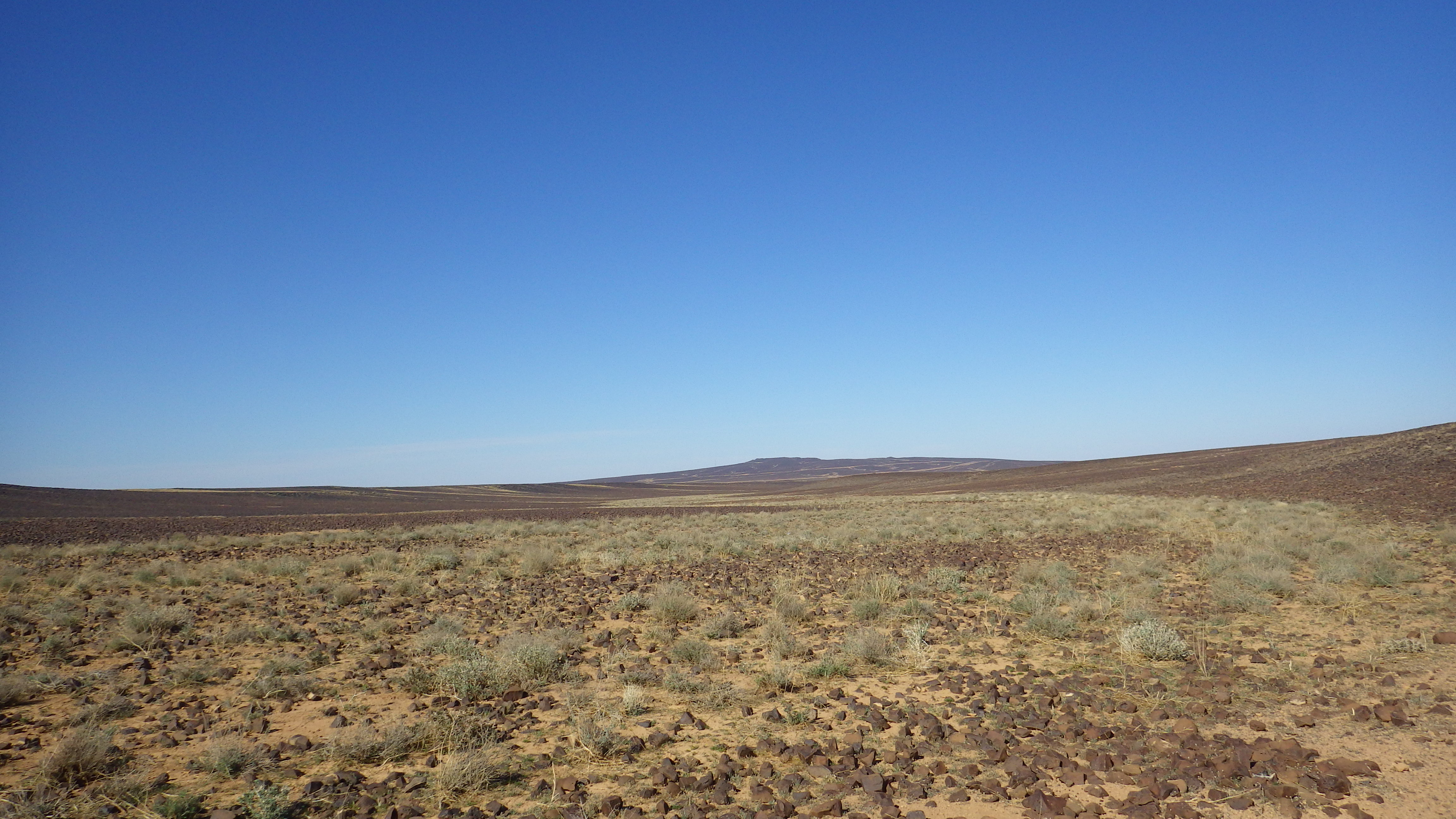 Image of siglum BES20 1248