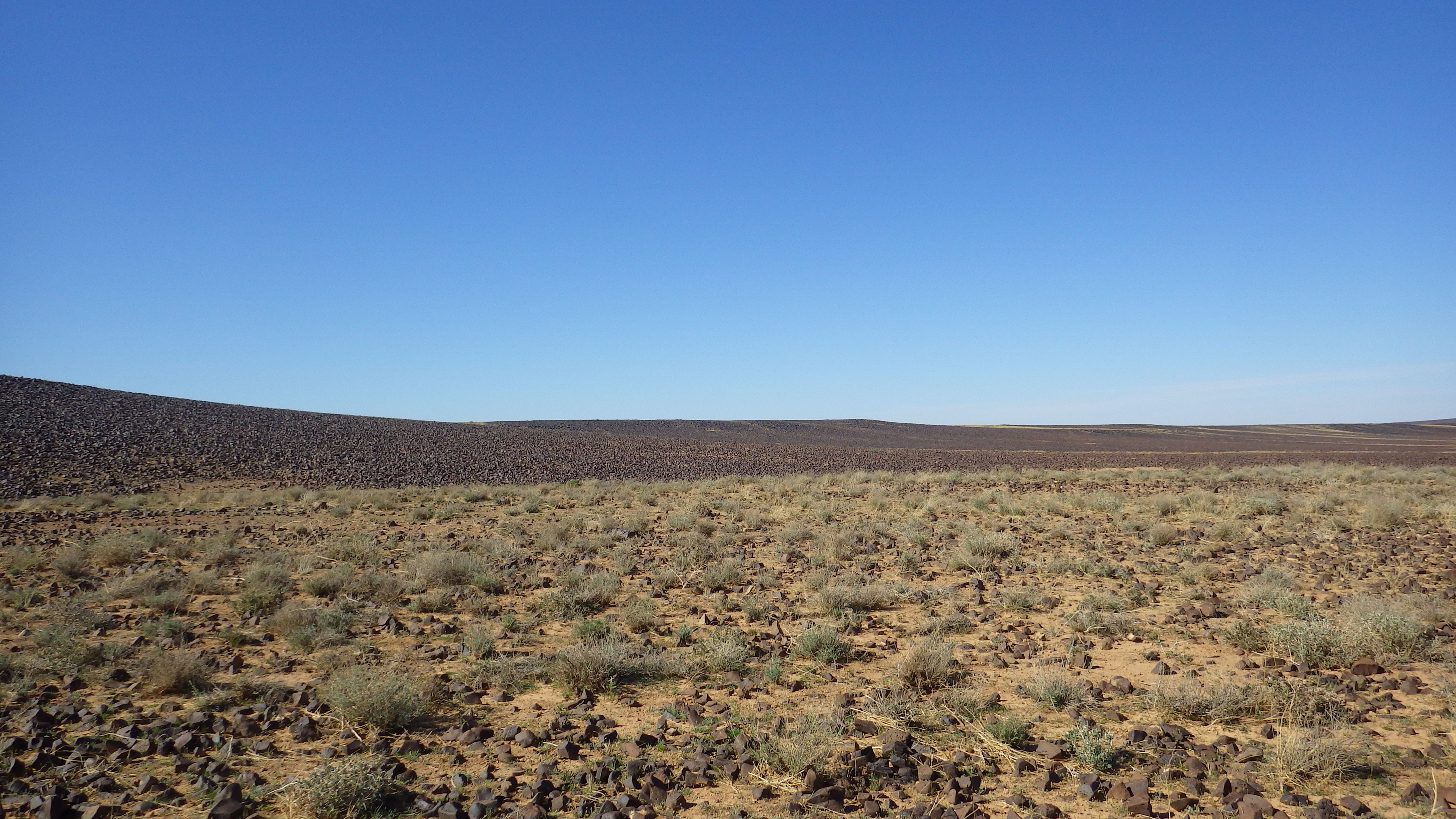 Image of siglum BES20 1248