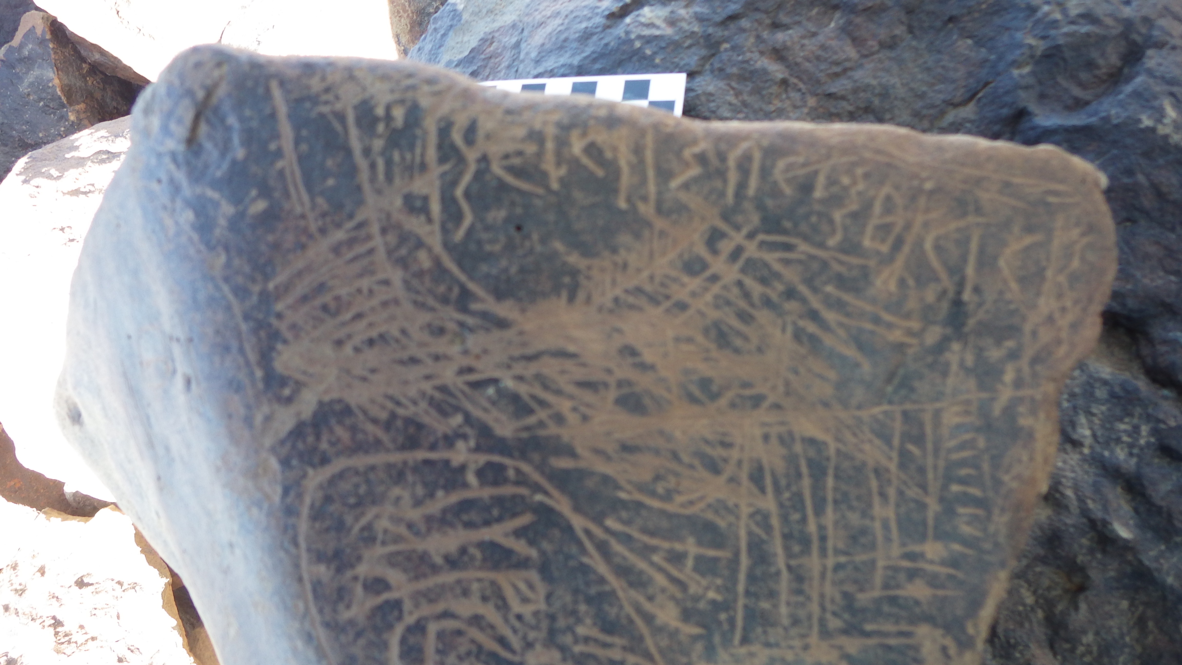 Image of siglum BES20 1248