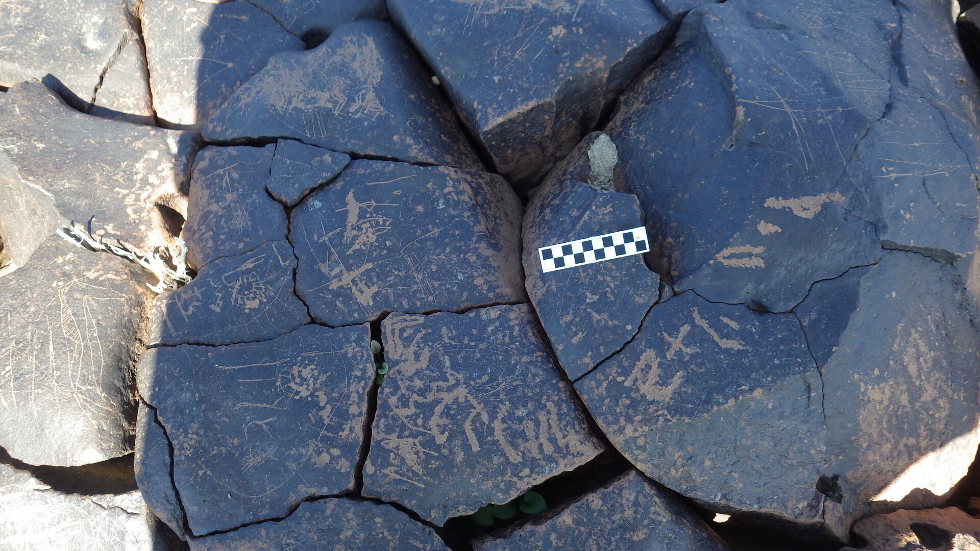 Image of siglum BES20 1248
