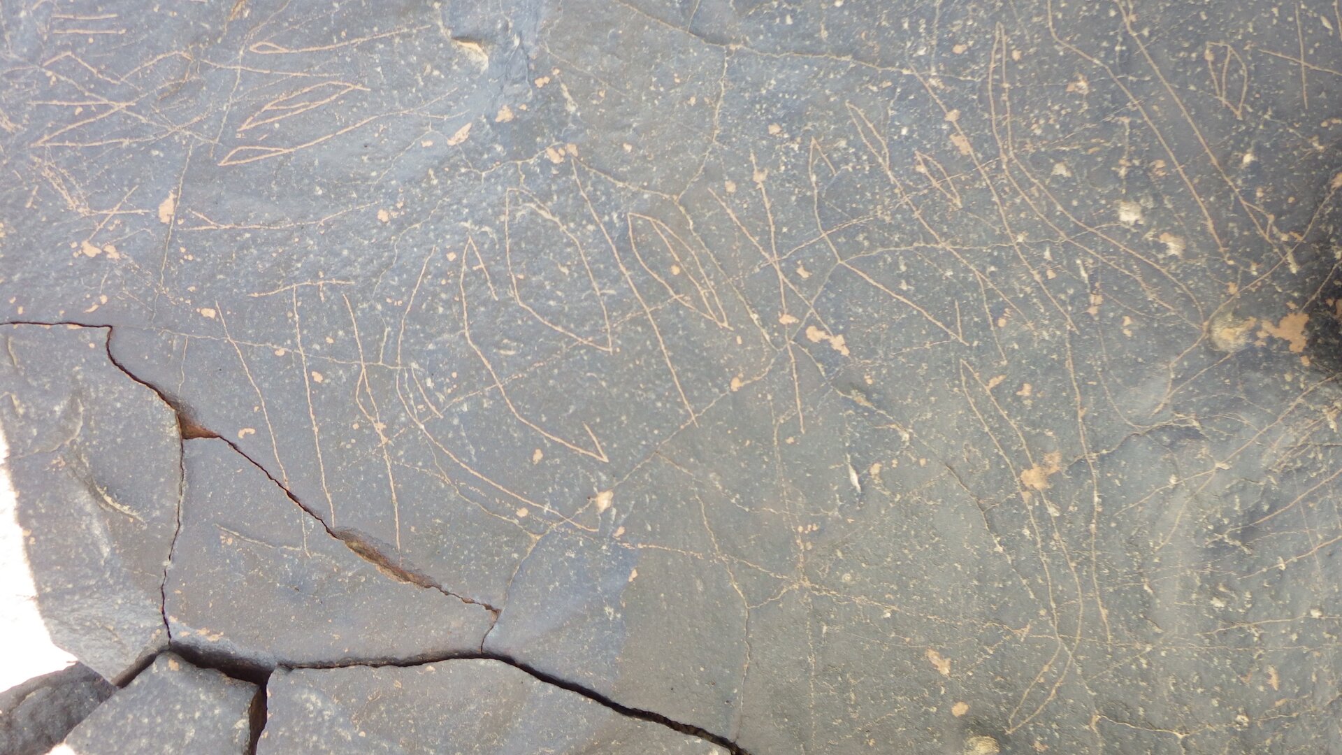 Image of siglum BES20 1248
