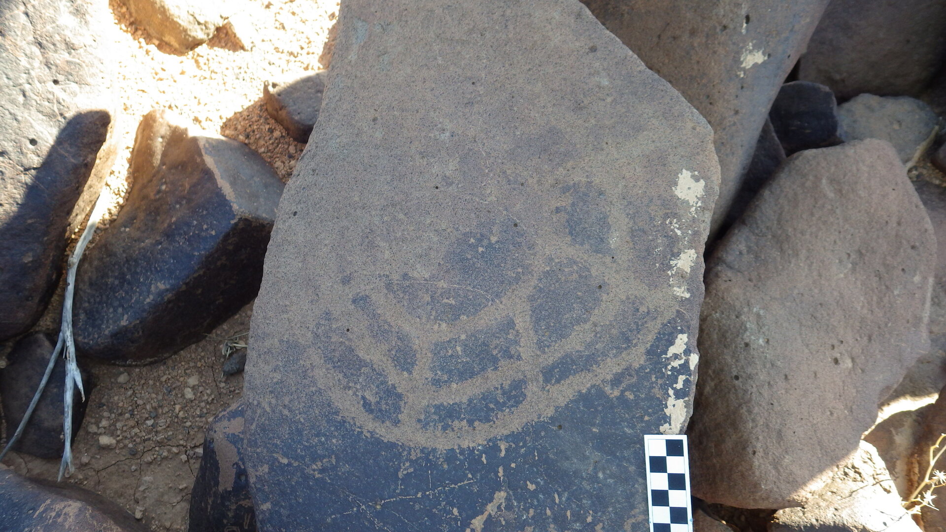Image of siglum BES20 1248