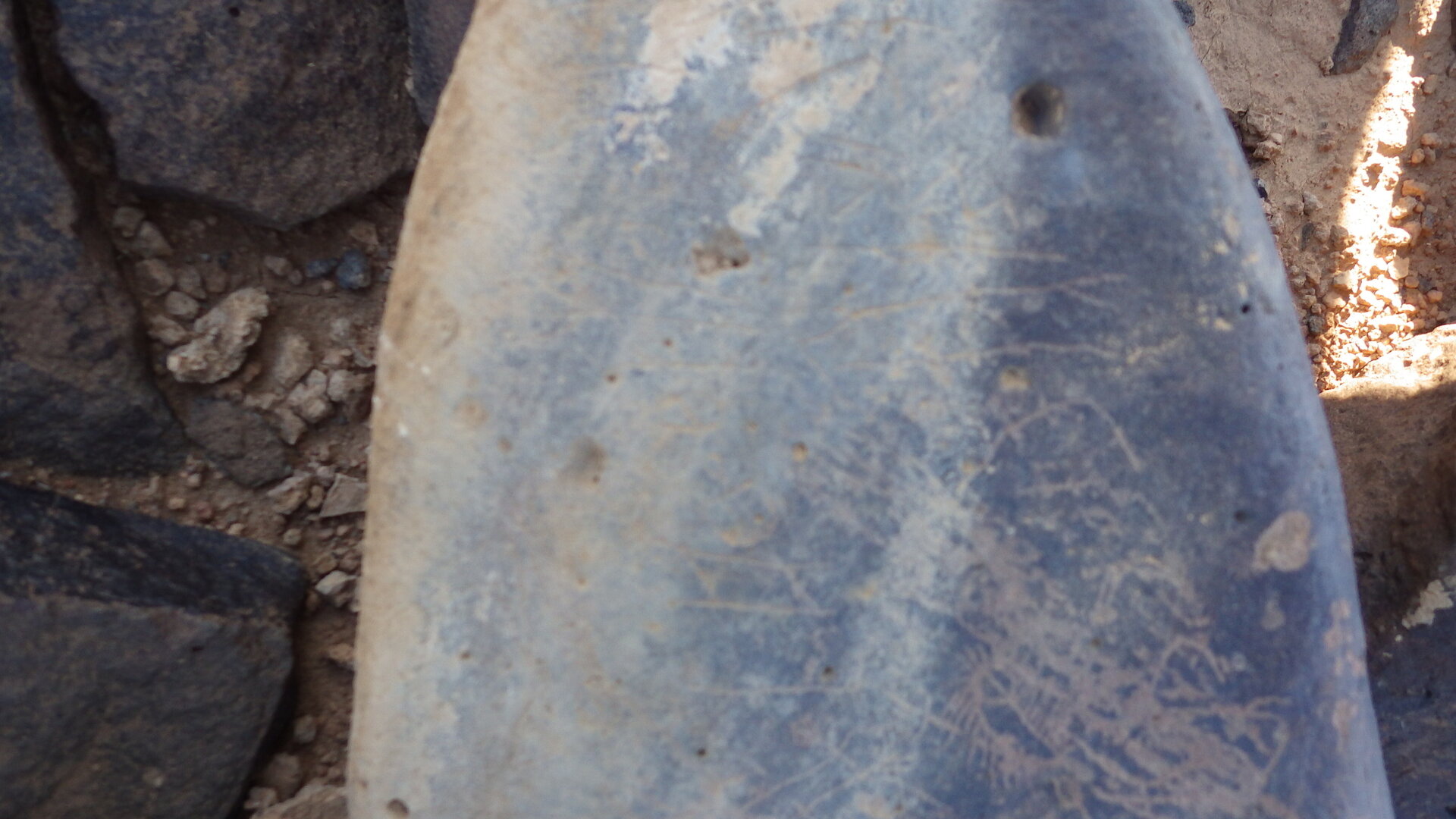 Image of siglum BES20 1248