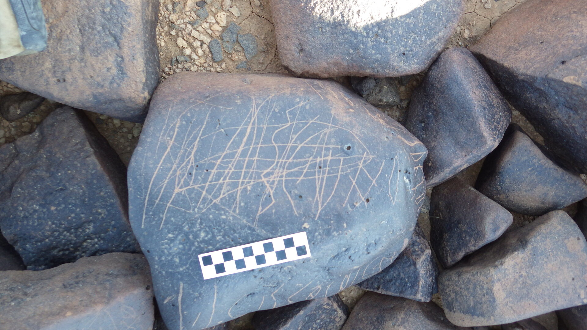Image of siglum BES20 1248