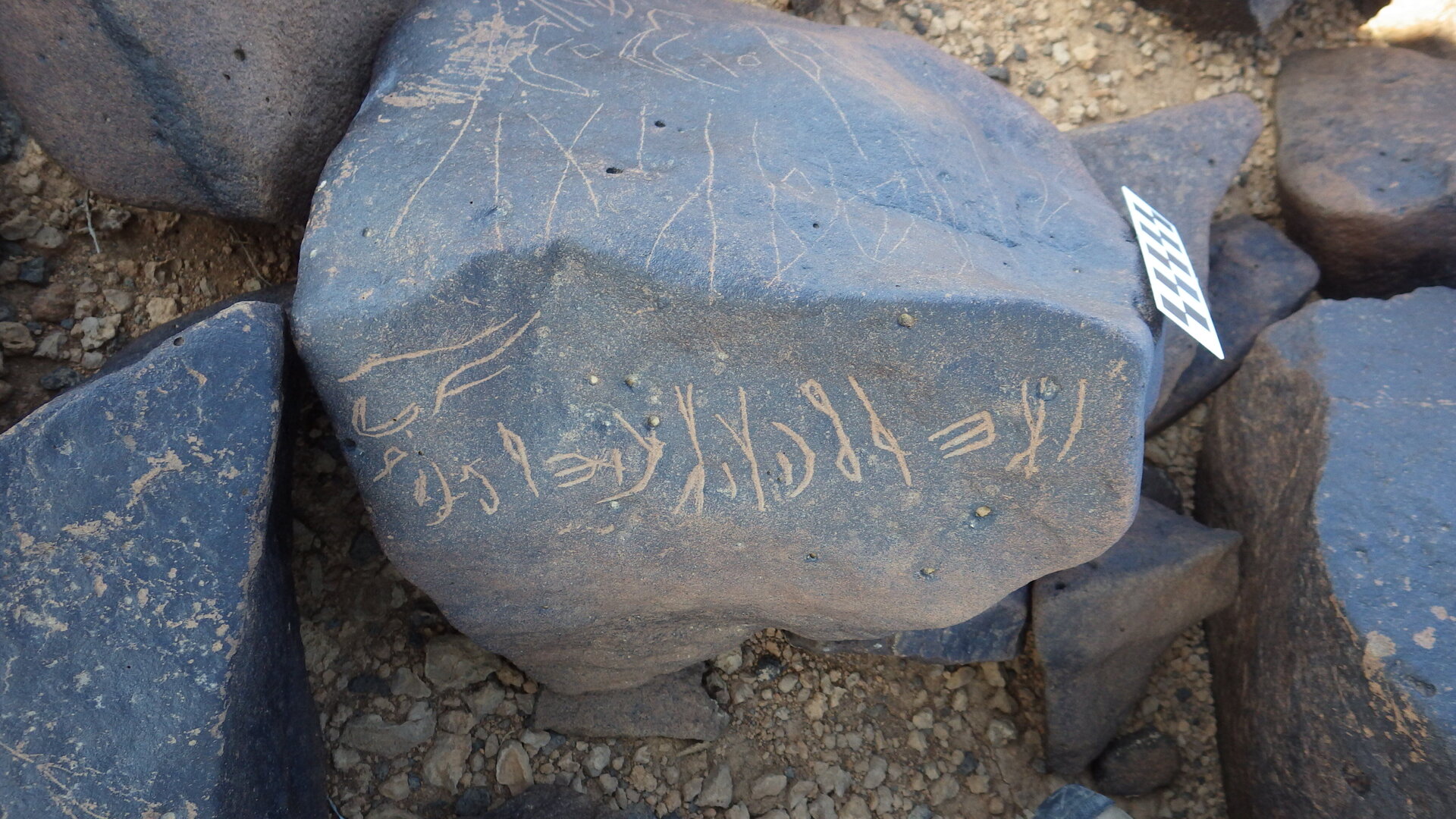 Image of siglum BES20 1248