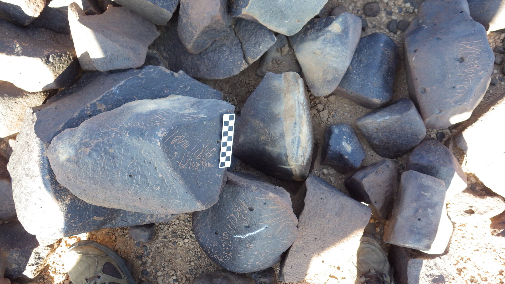 Image of siglum BES20 1248