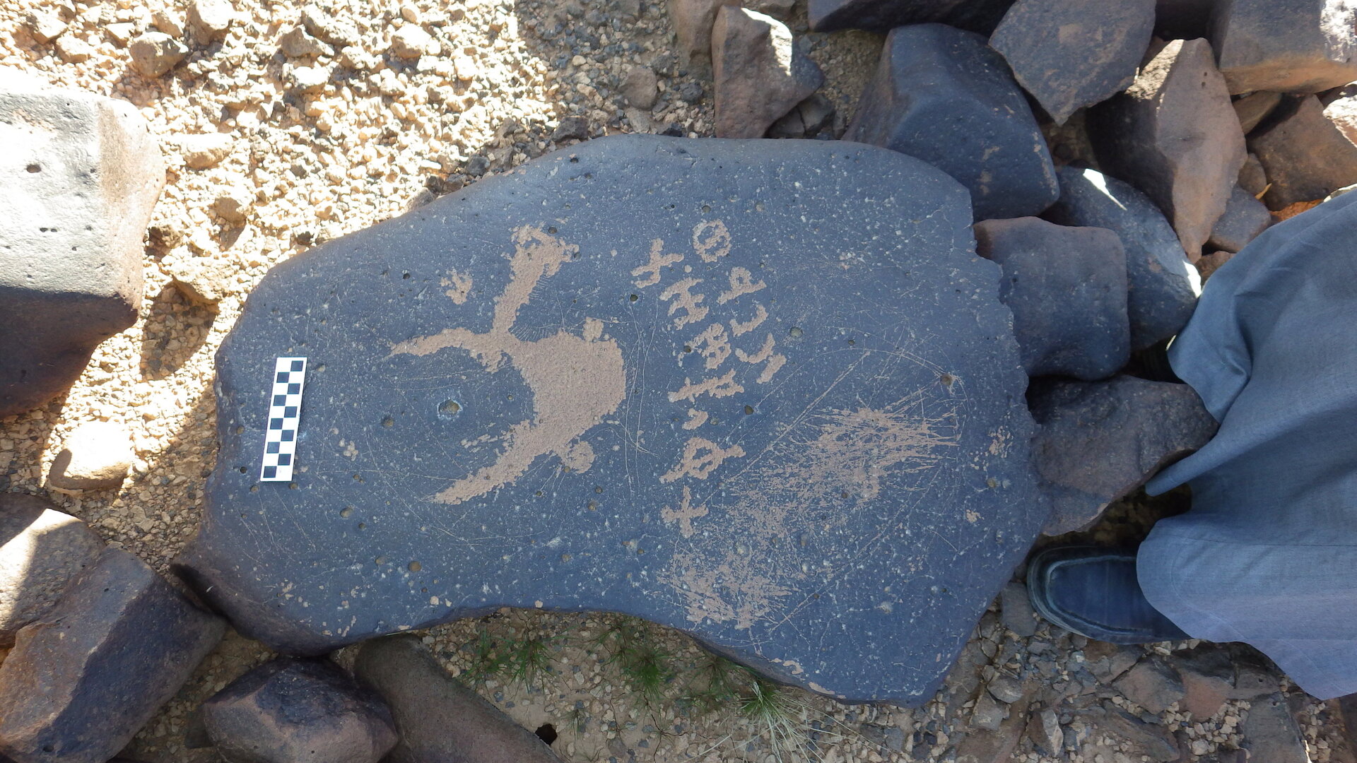 Image of siglum BES20 1248