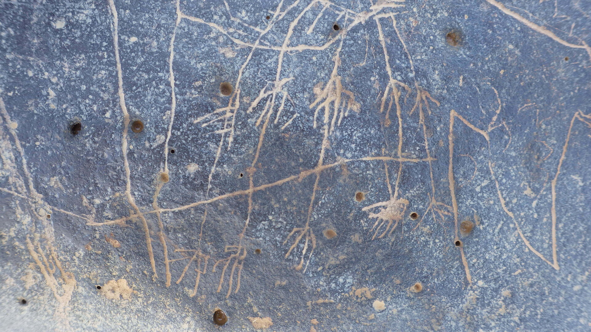 Image of siglum BES20 1248