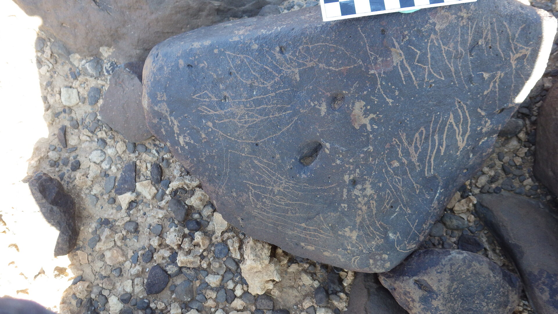 Image of siglum BES20 1248