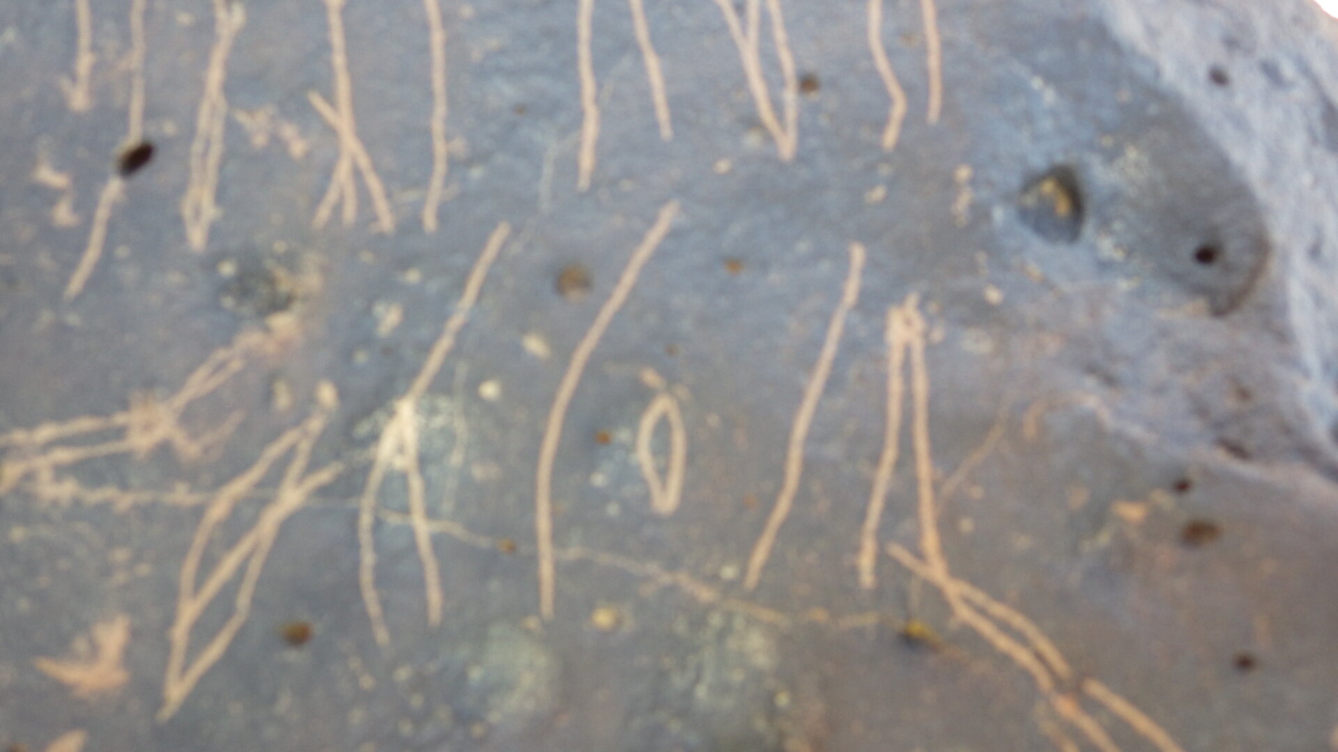 Image of siglum BES20 1248
