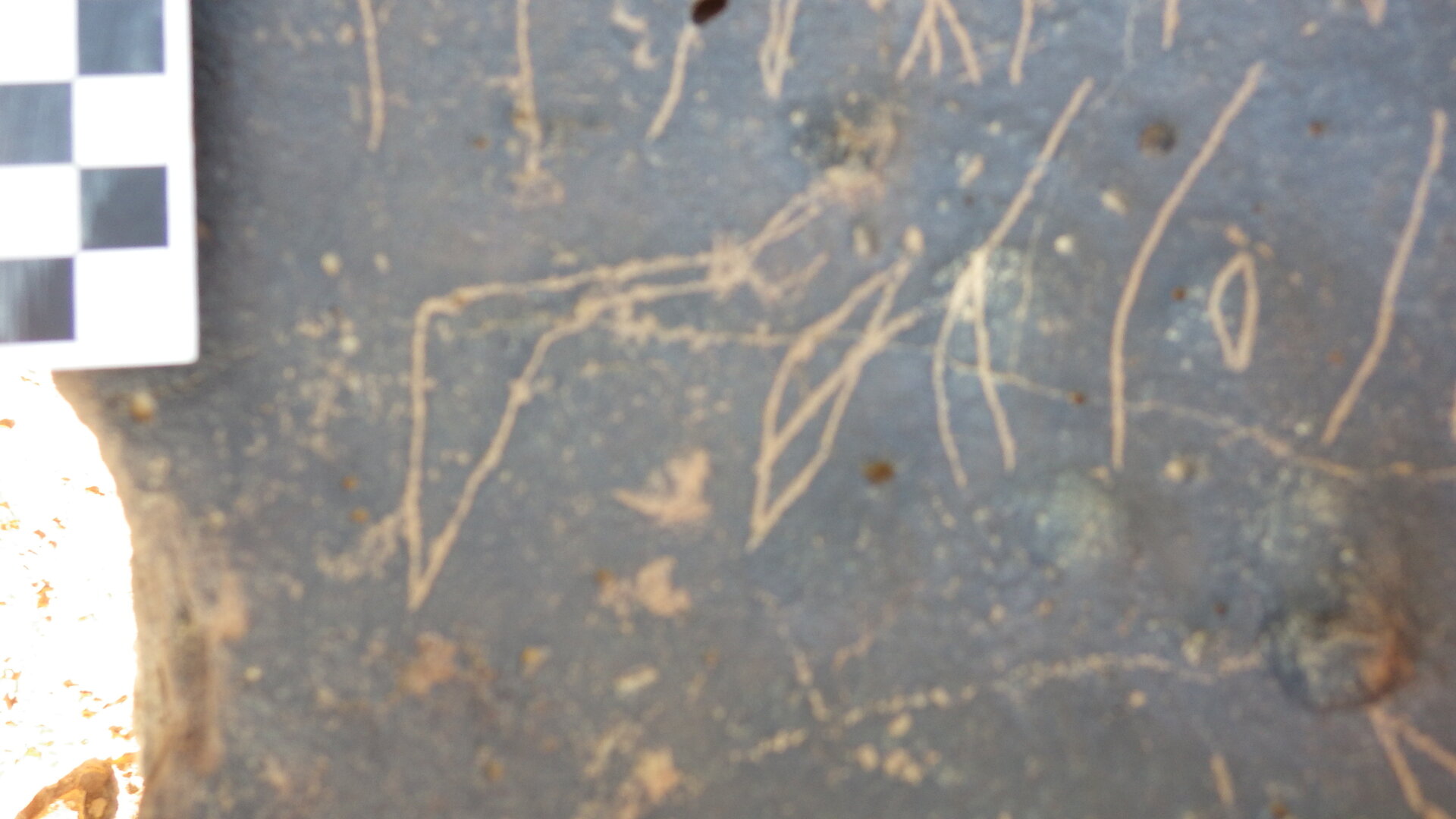 Image of siglum BES20 1248