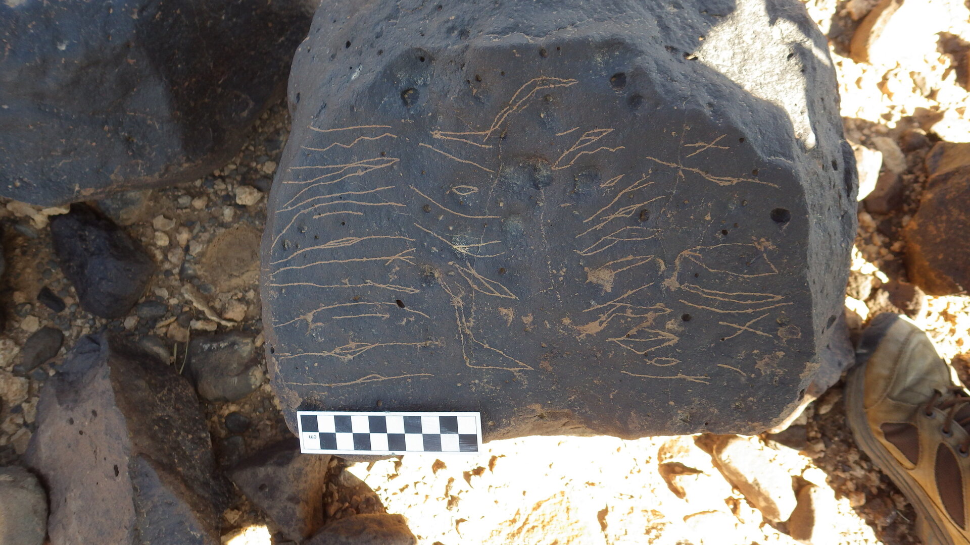 Image of siglum BES20 1248