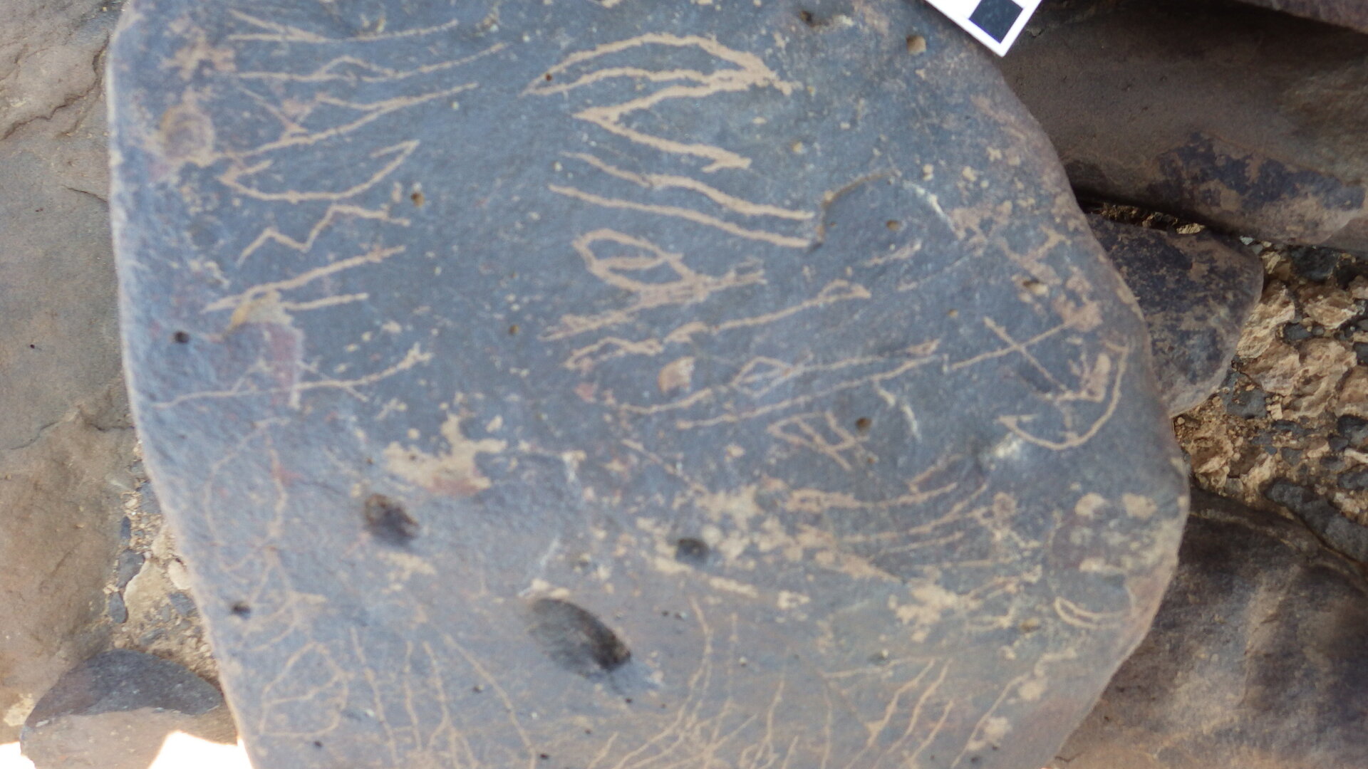 Image of siglum BES20 1248