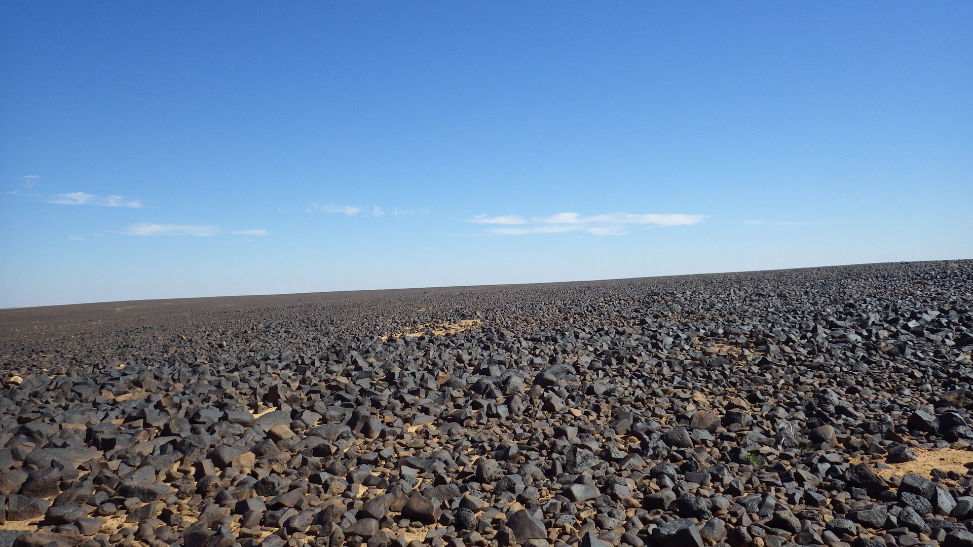 Image of siglum BES20 1248