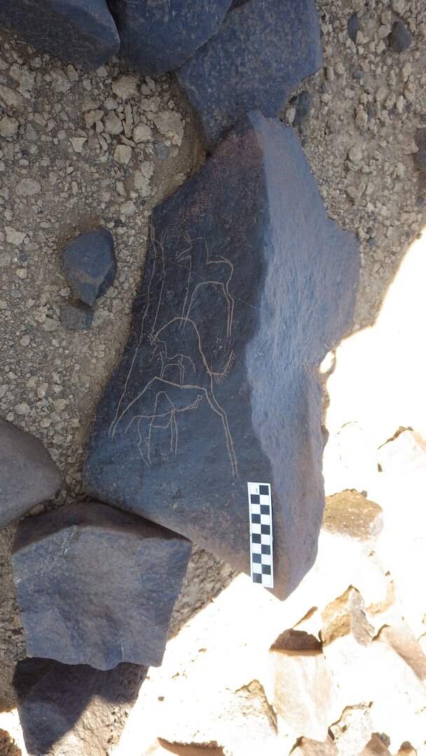 Image of siglum BES20 1248