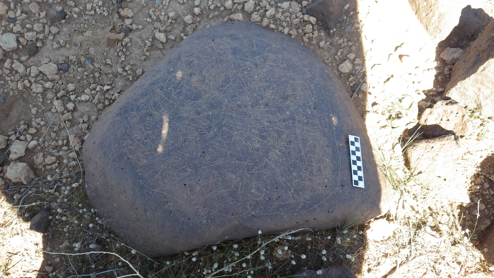 Image of siglum BES20 1248