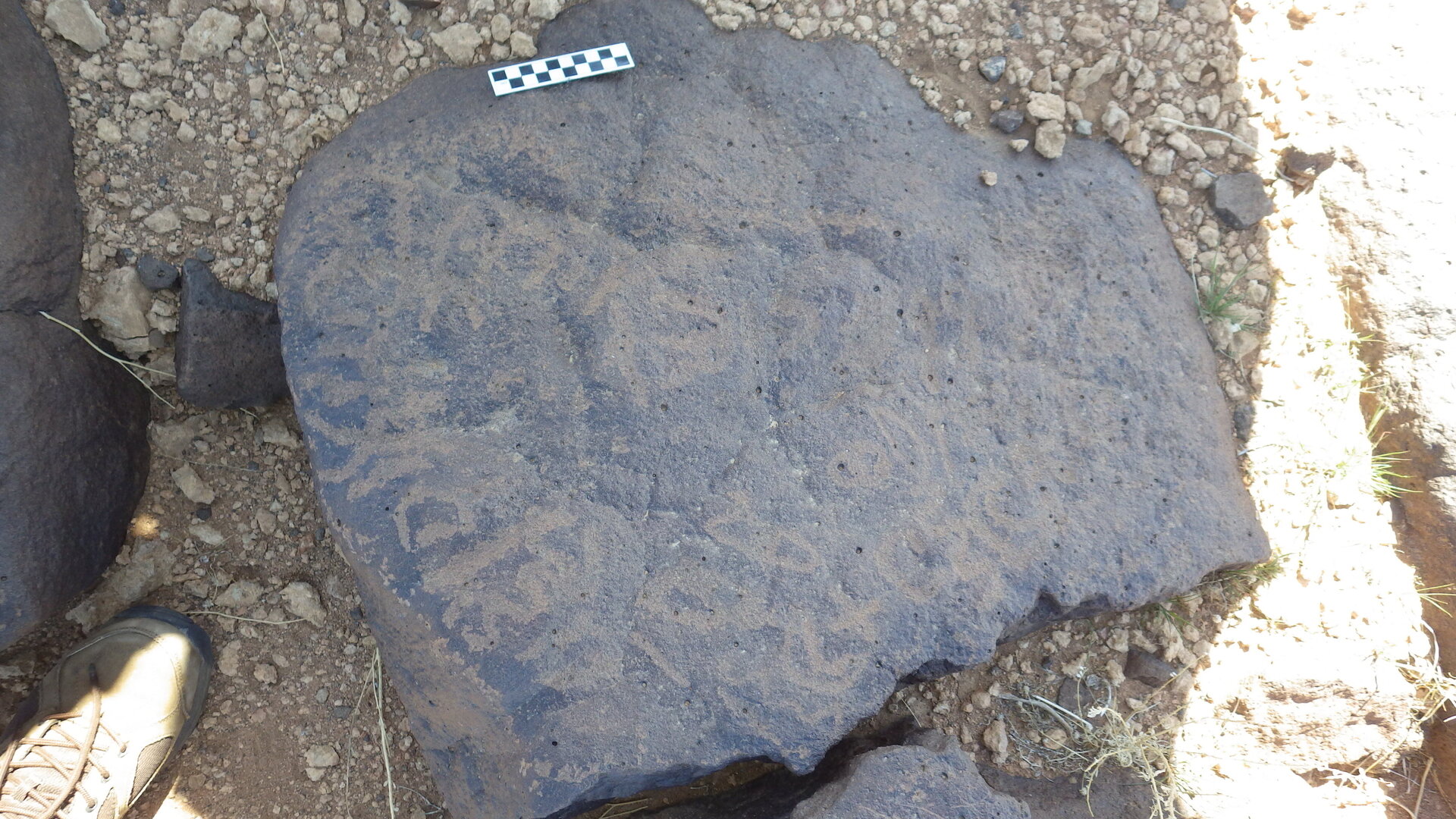 Image of siglum BES20 1248