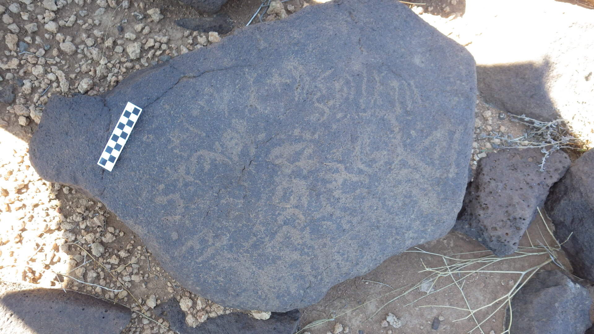 Image of siglum BES20 1248
